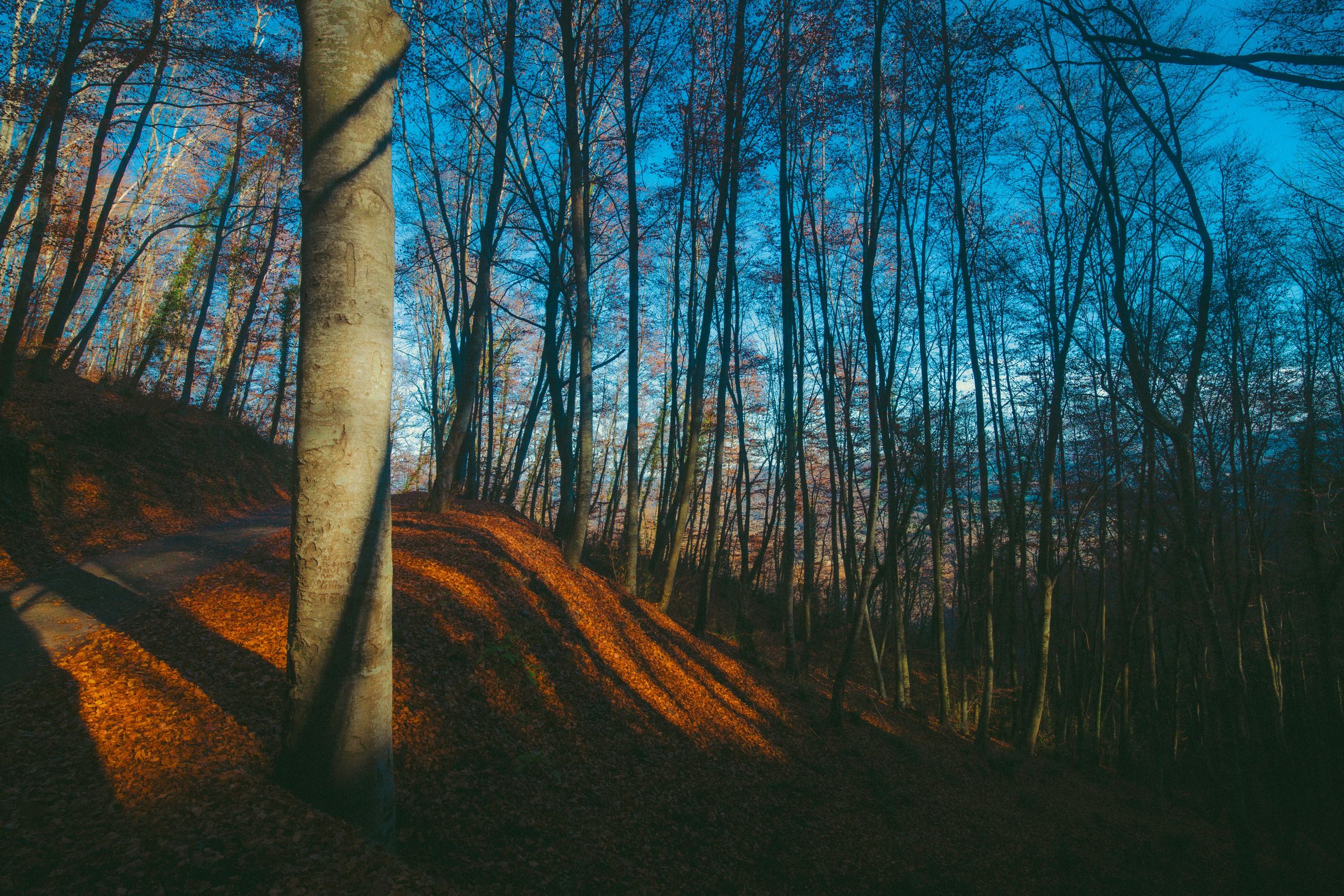 Rupit. Alba del Norte Studio