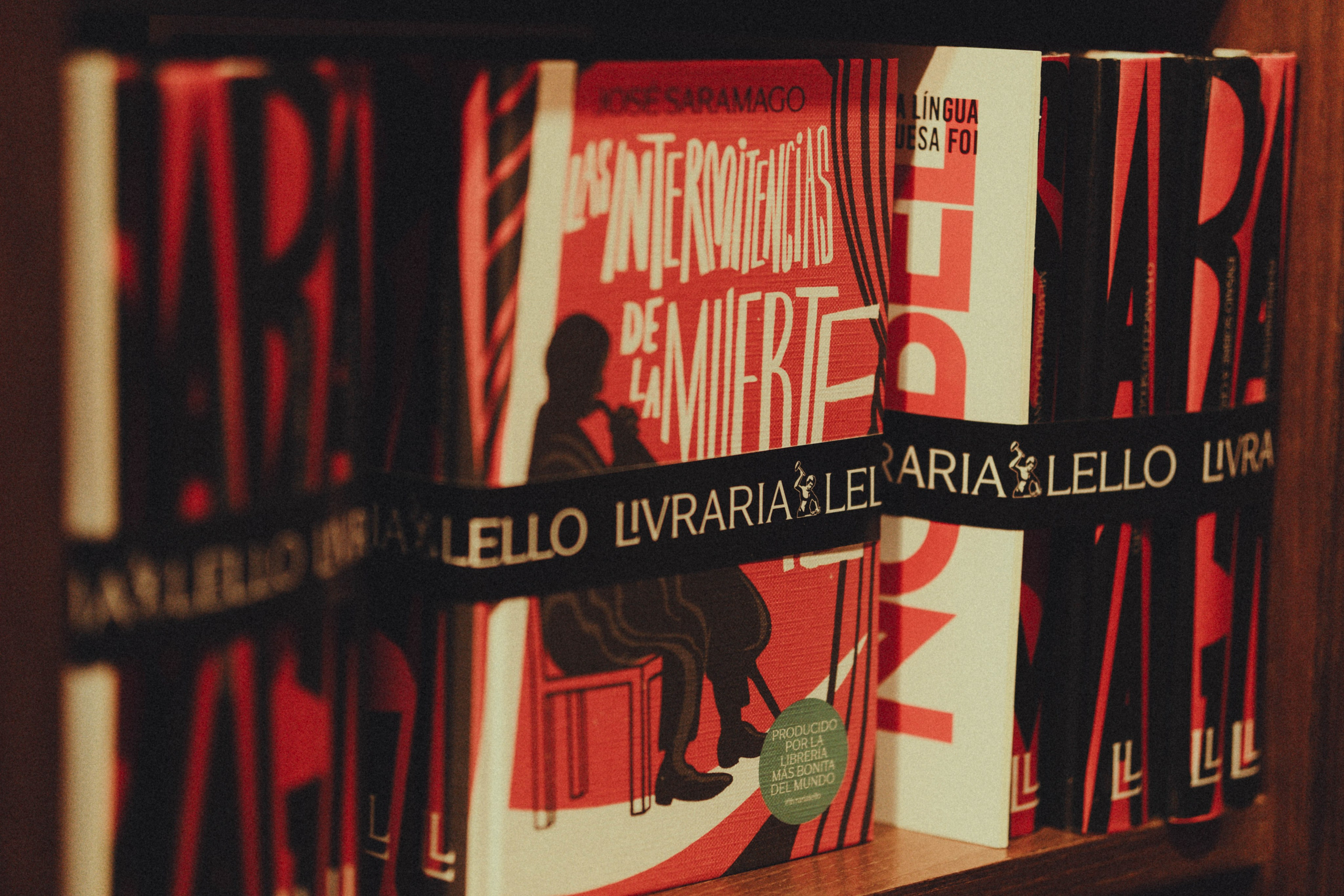 Librería Lello, Porto. Alba del Norte Studio