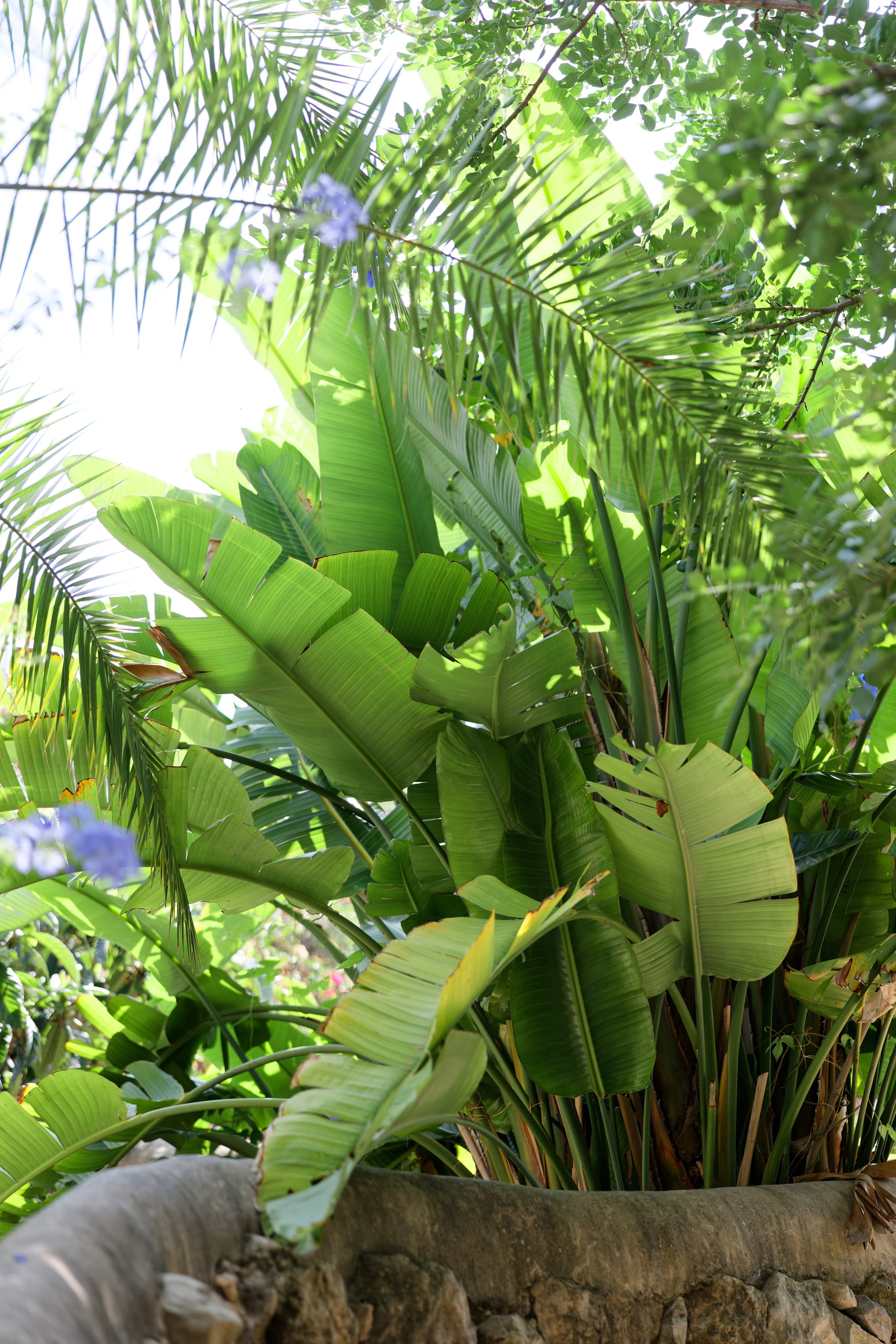 Indian wedding Haldi ceremony & Mehndi Night at Masia Nur, Sitges, Spain Preview