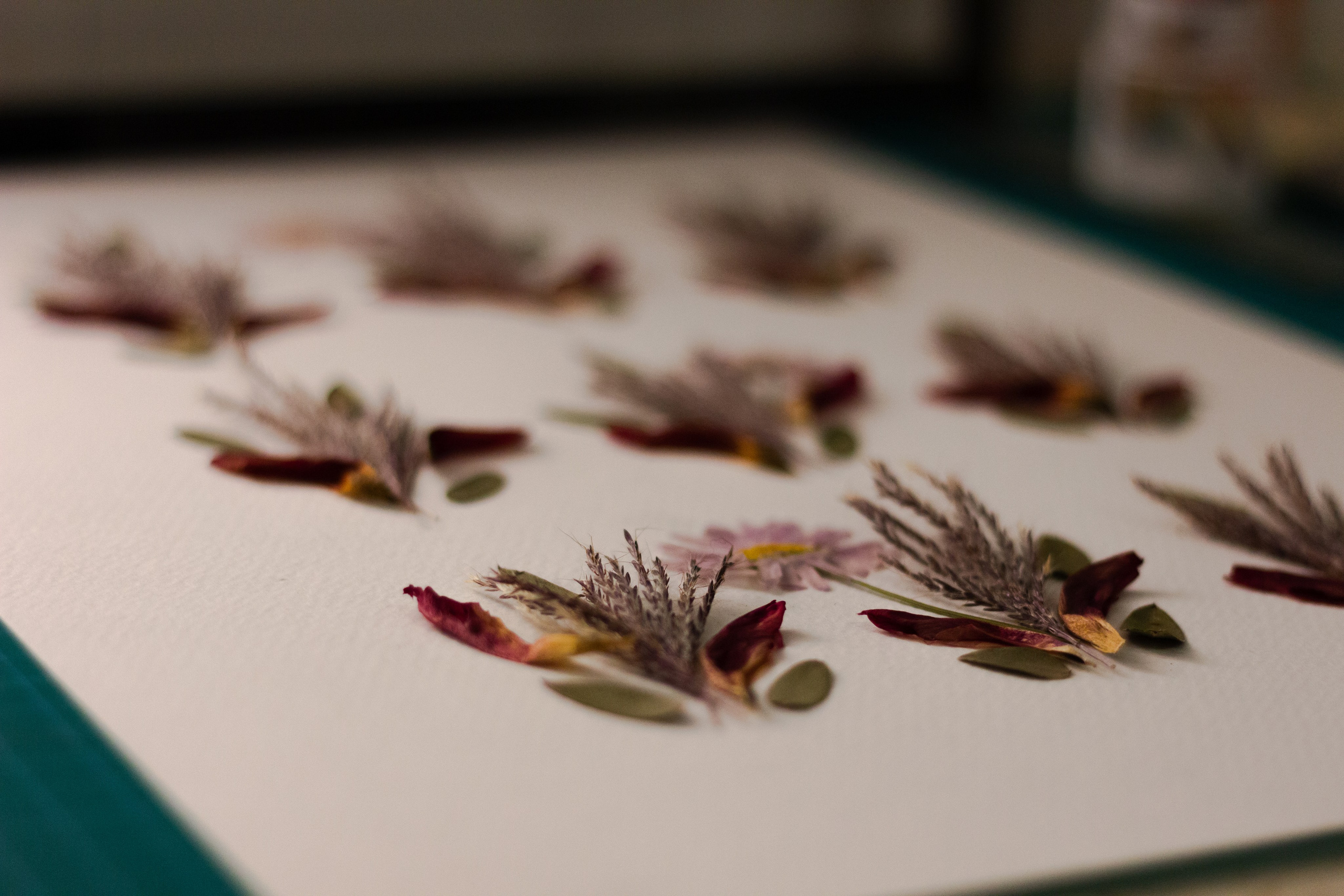Blog/news. Herbarij studio