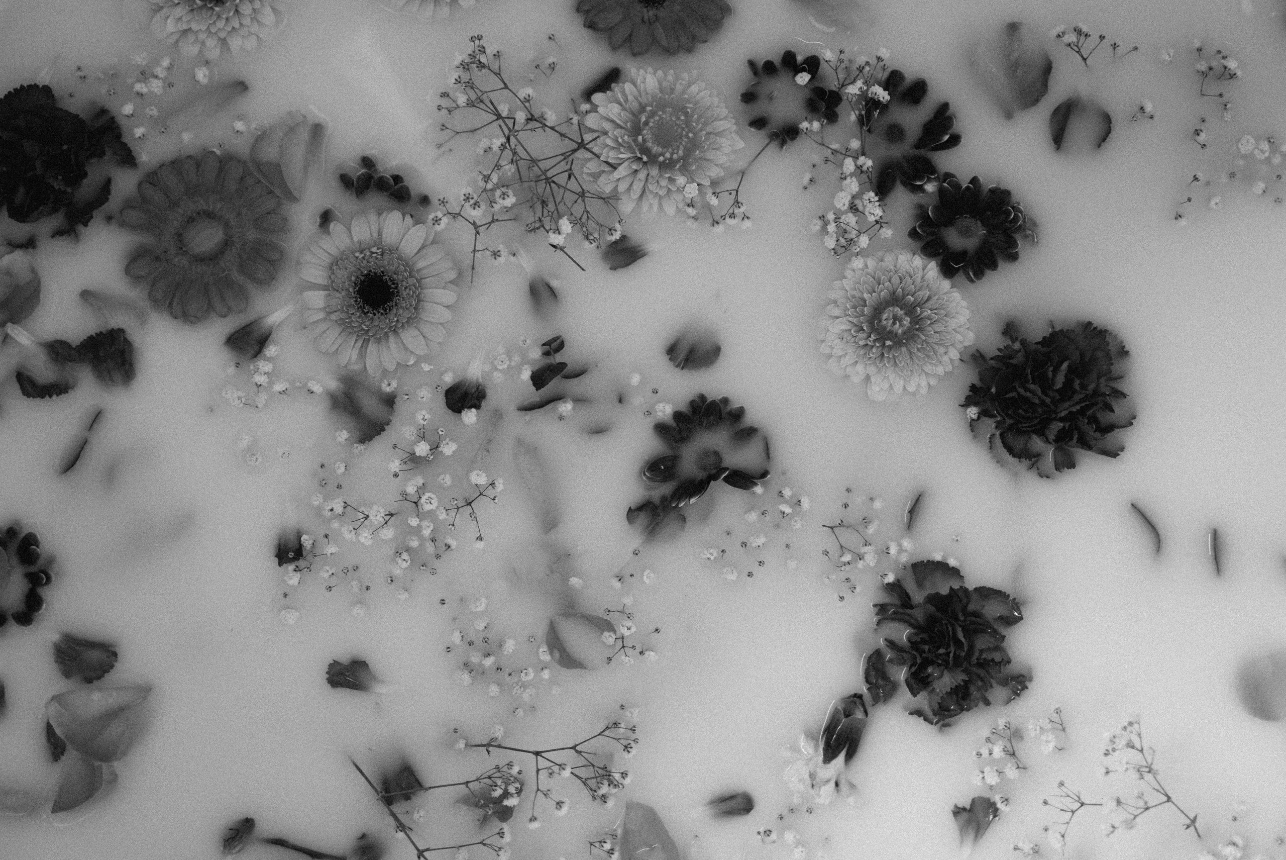 Babybauch. Authentische und emotionale Familienfotos in Landshut und Umgebung