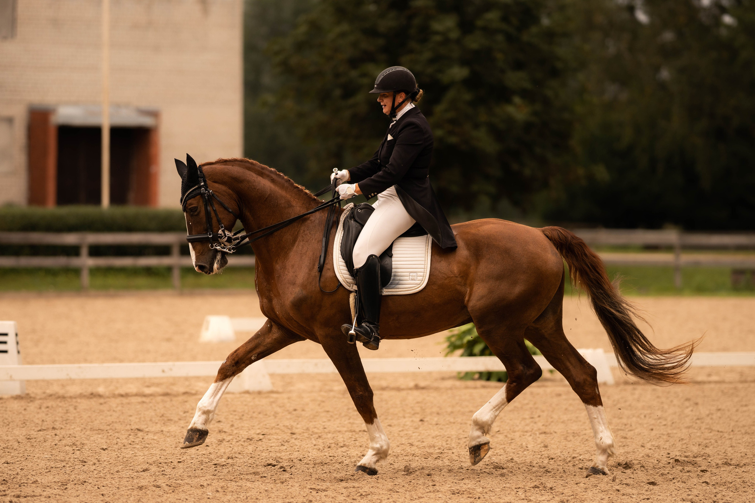 Dressage competitions. Sports and portrait photographer in Riga