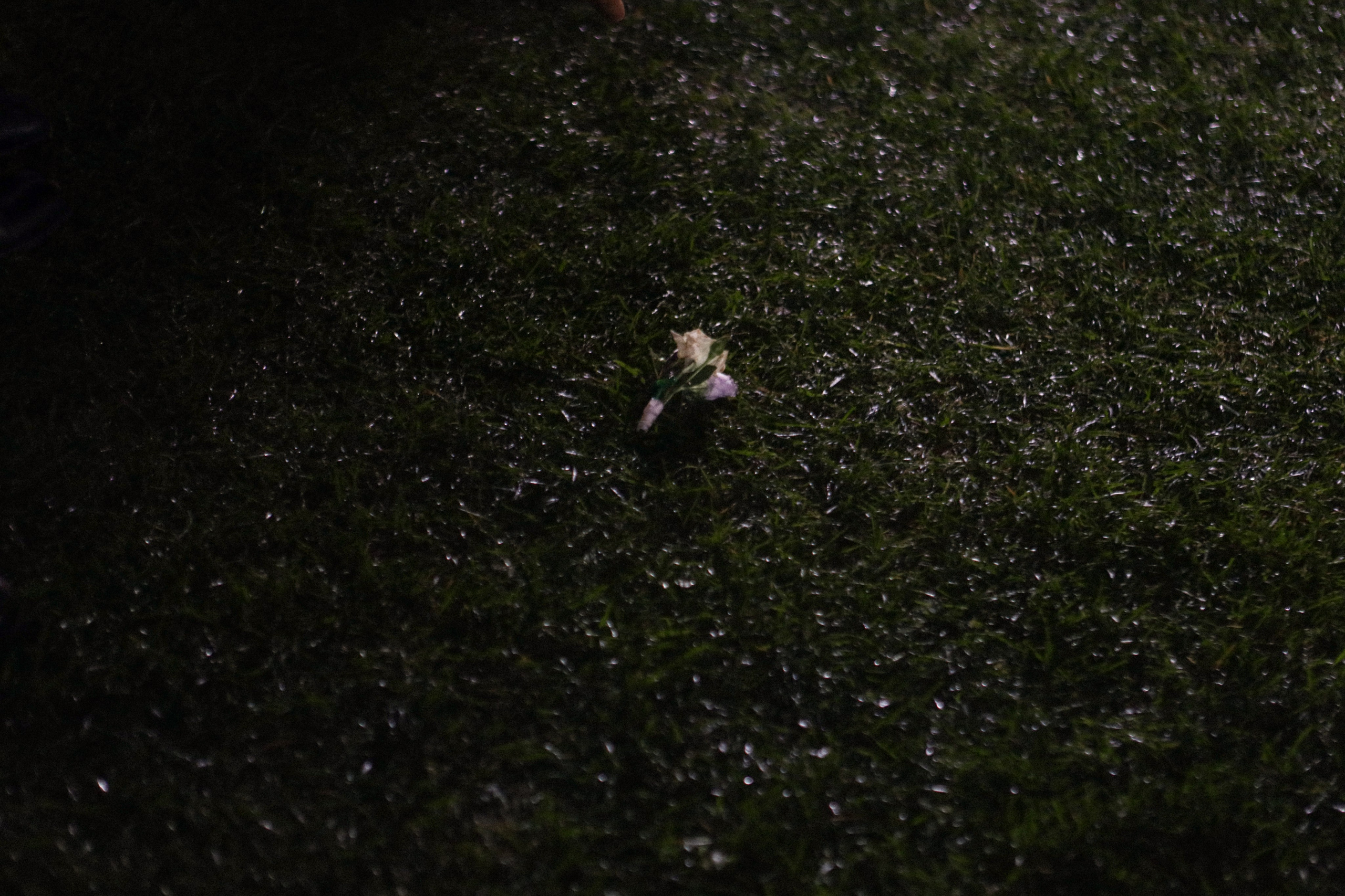 “ALWAYS REMEMBER US THIS WAY” full wedding day. Свадебный и семейный фотограф в Дубае Эльмаз Черникова