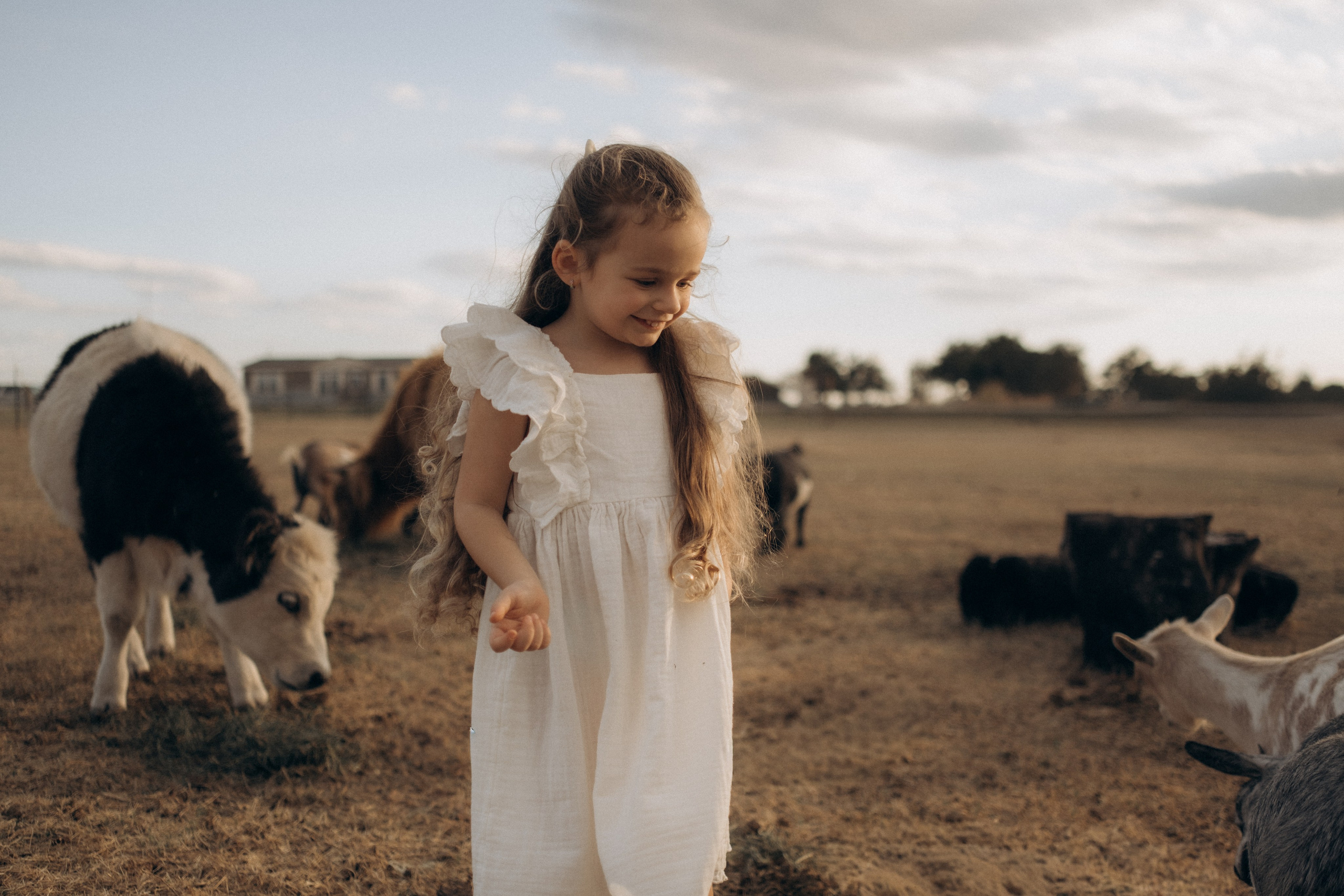 Farm Story. Lens Captures Life