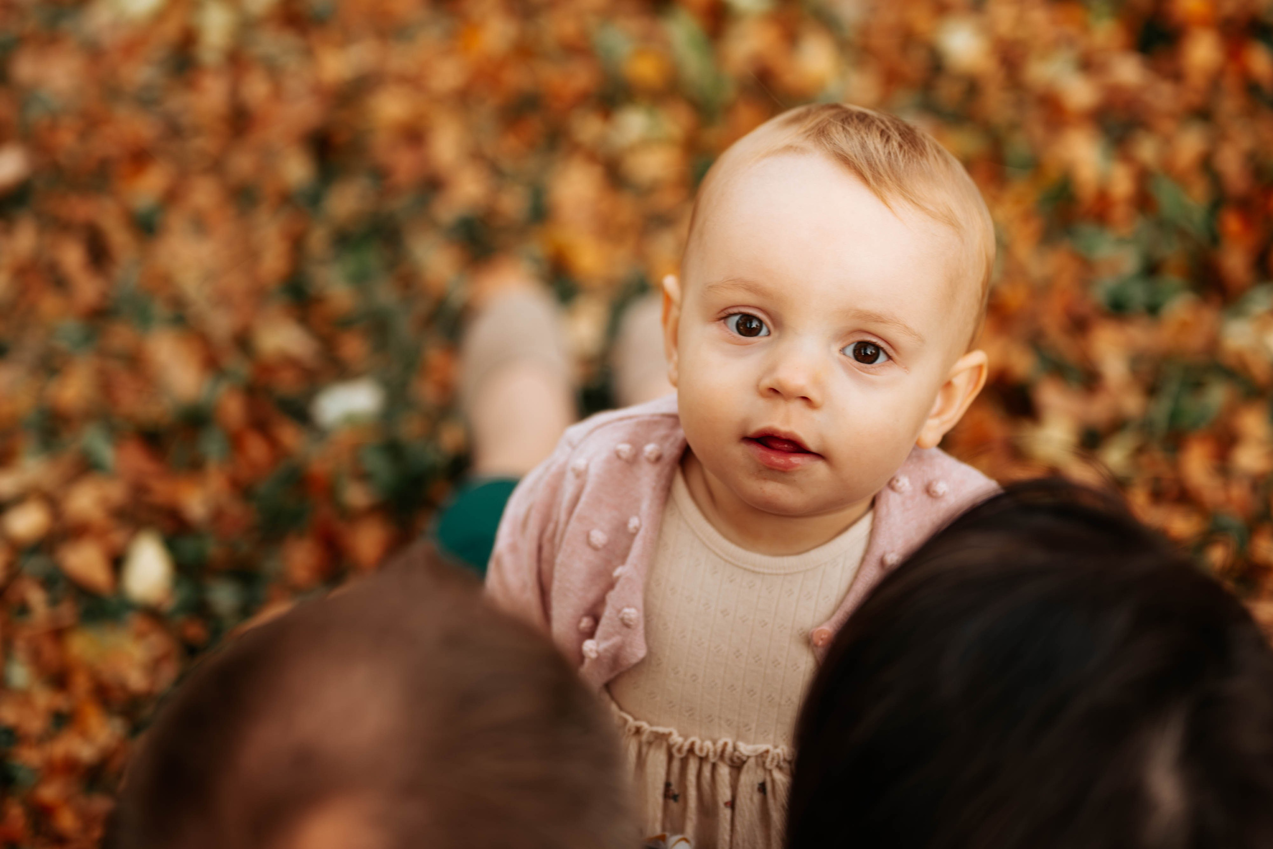 Milena, Daniel, Marija i Lena - porodično fotografisanje. Dečiji i porodični fotograf