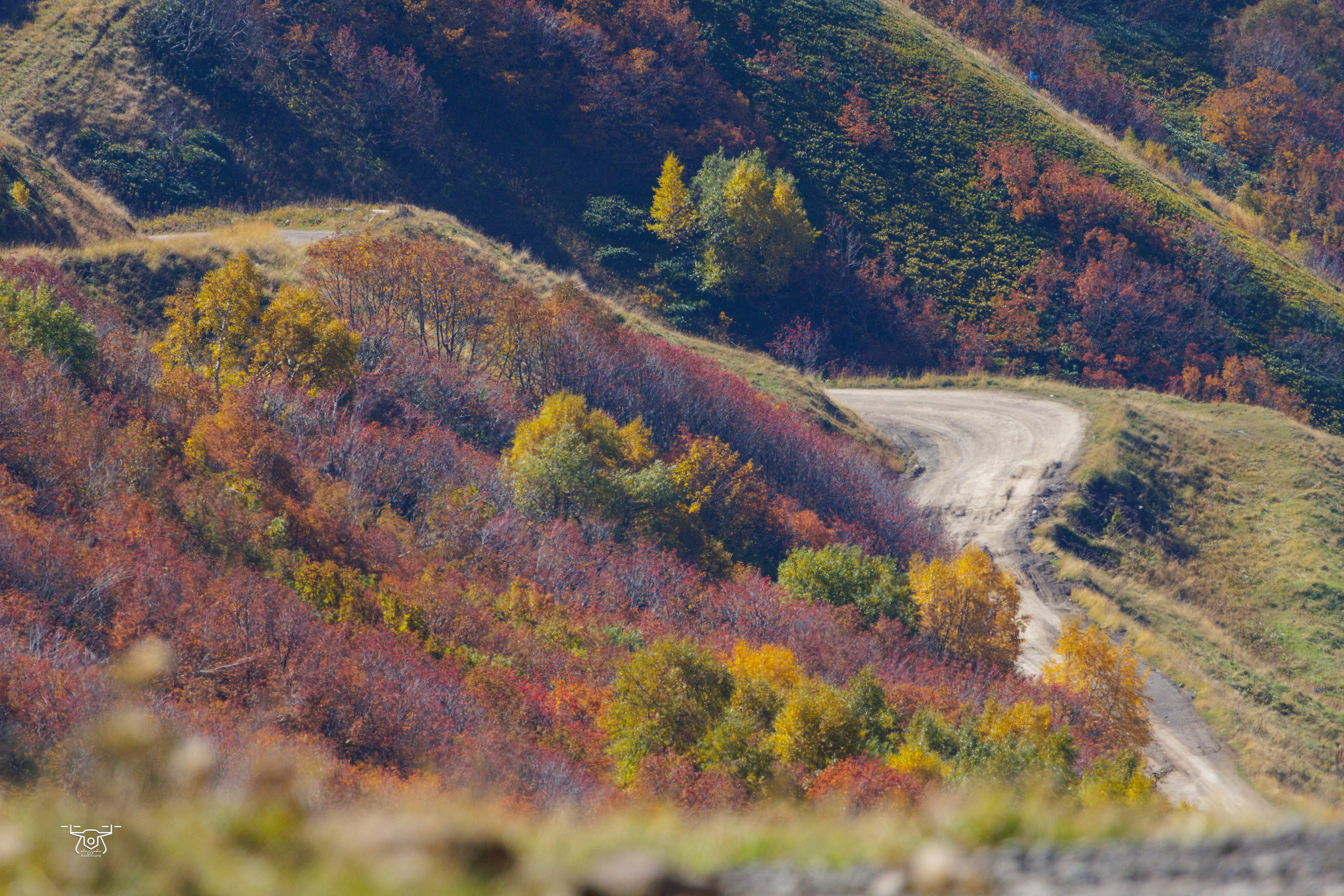 ბუნება. FramefreeMan