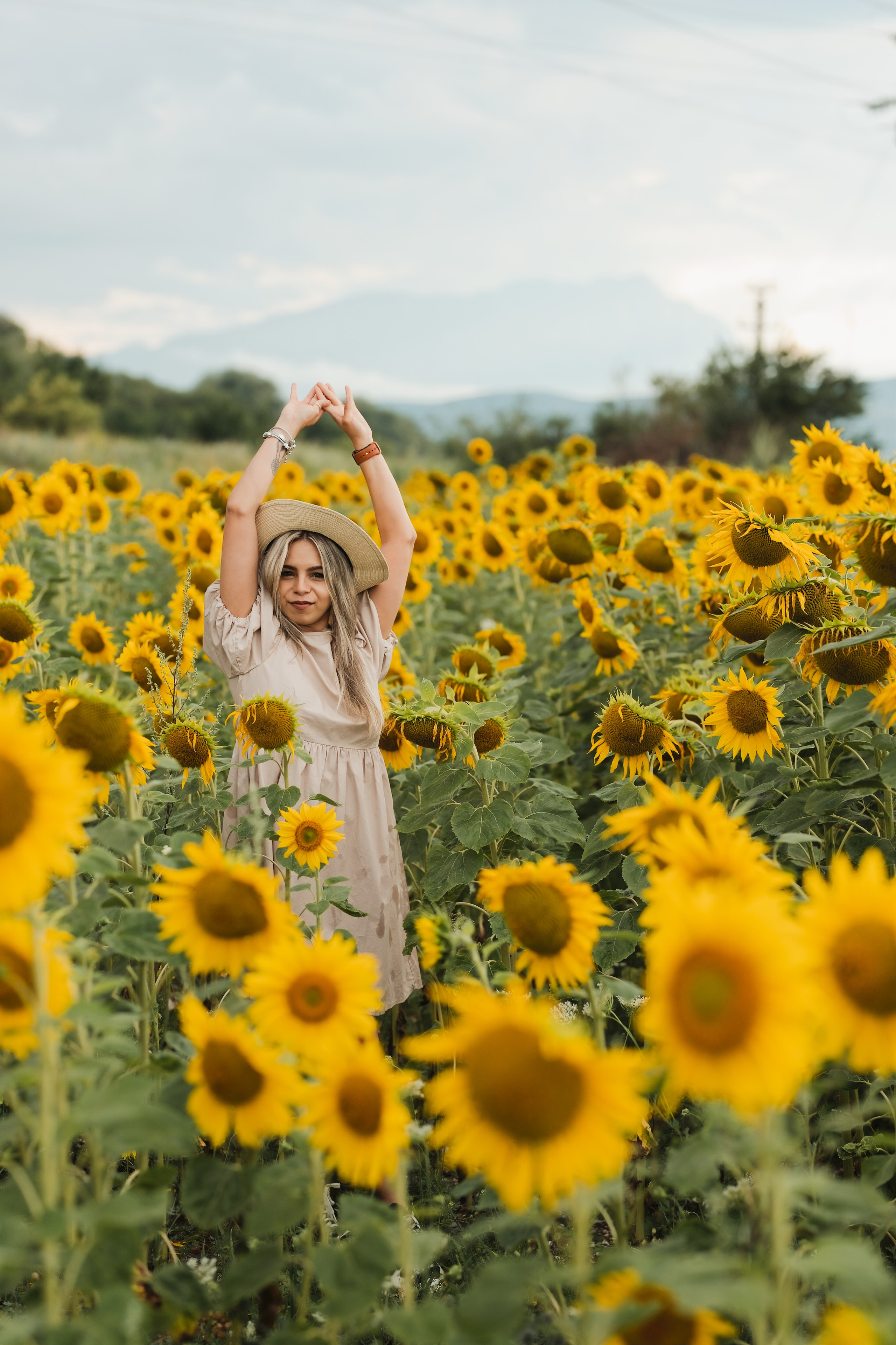 Madalina si Catalin — pfhotosession. Fotograf Nuntă & Familie în Brașov | Miruna Danet Photography