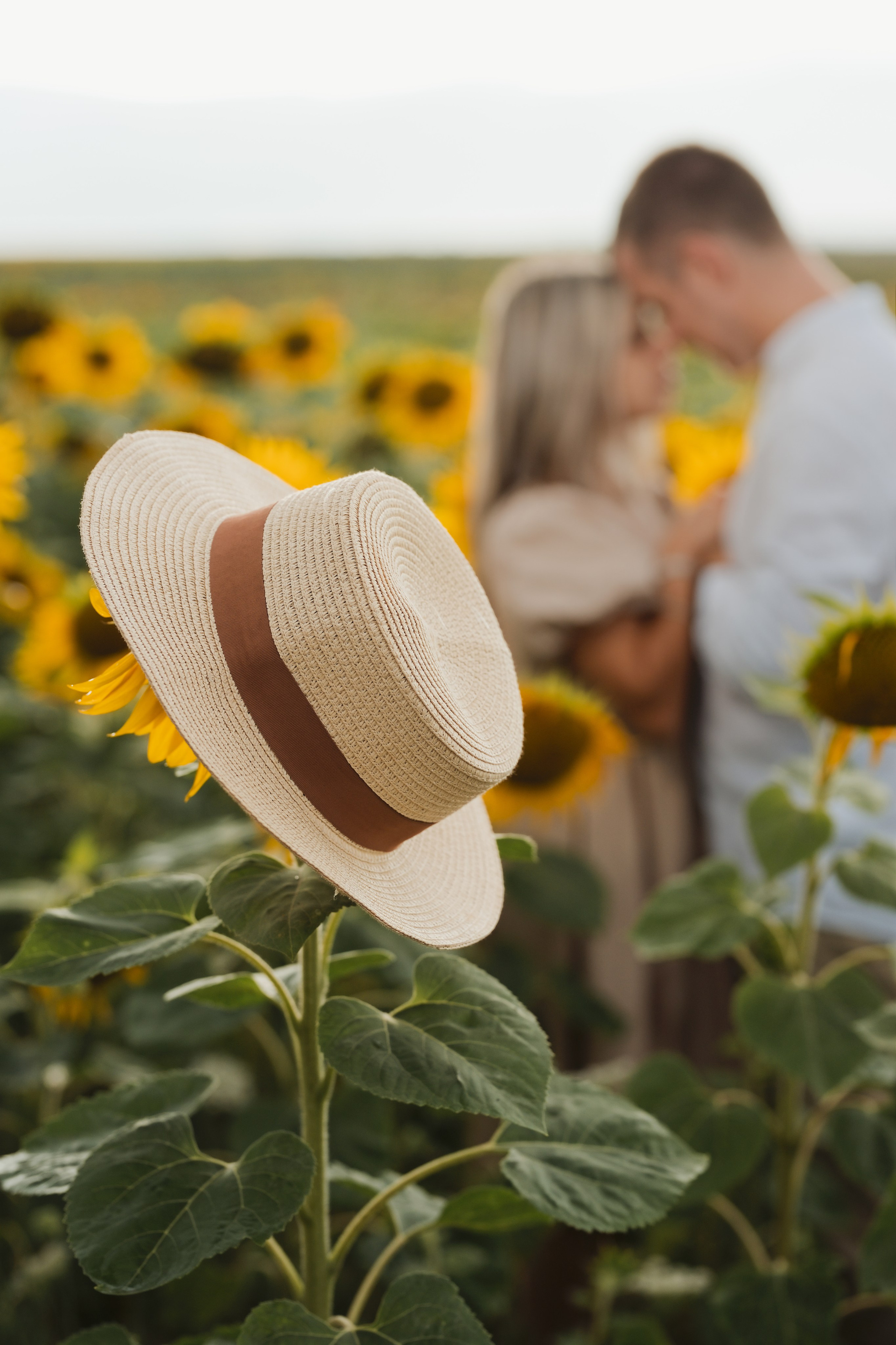 Madalina si Catalin — pfhotosession. Fotograf Nuntă & Familie în Brașov | Miruna Danet Photography