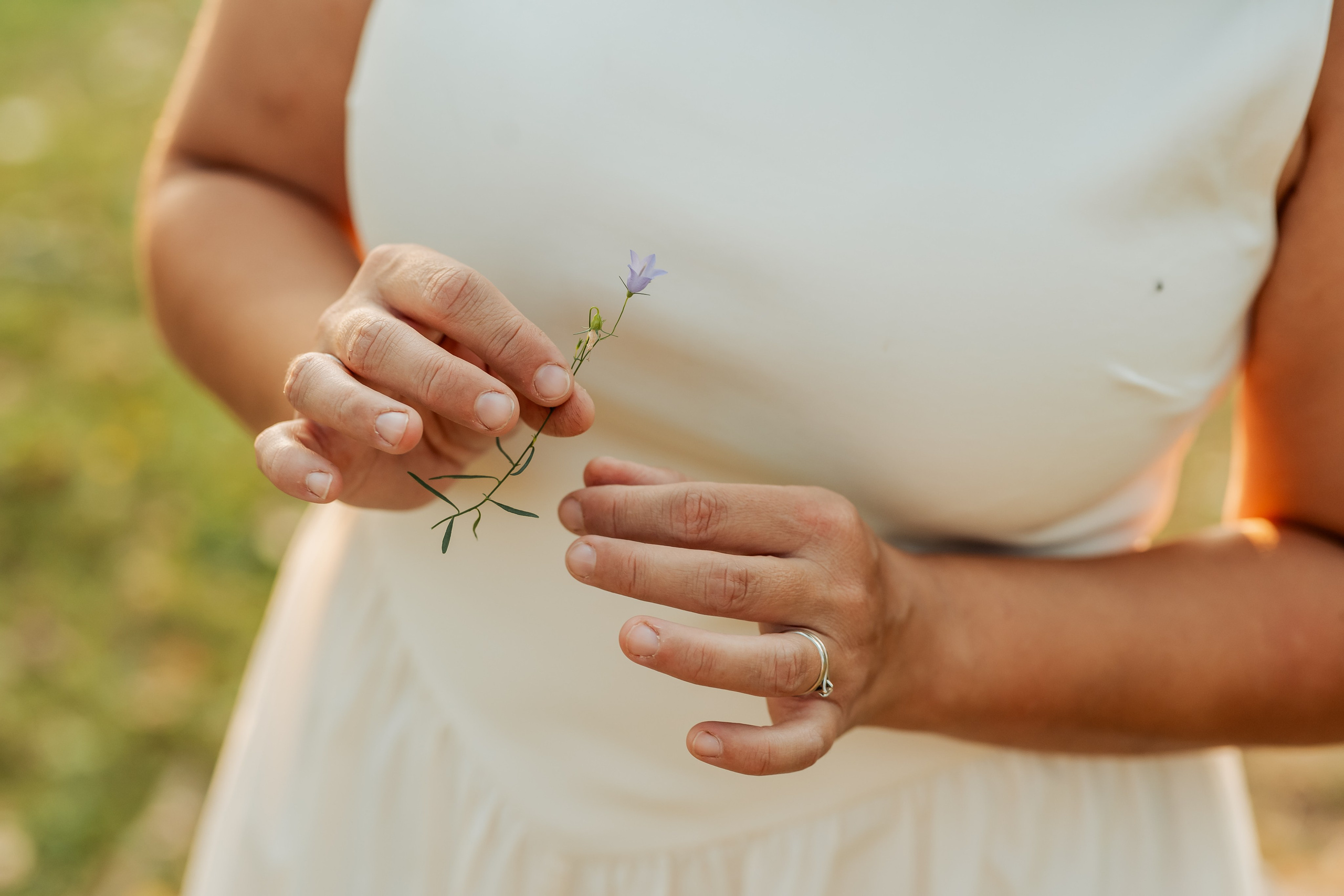 Sabina si George — photosession. Fotograf Nuntă & Familie în Brașov | Miruna Danet Photography