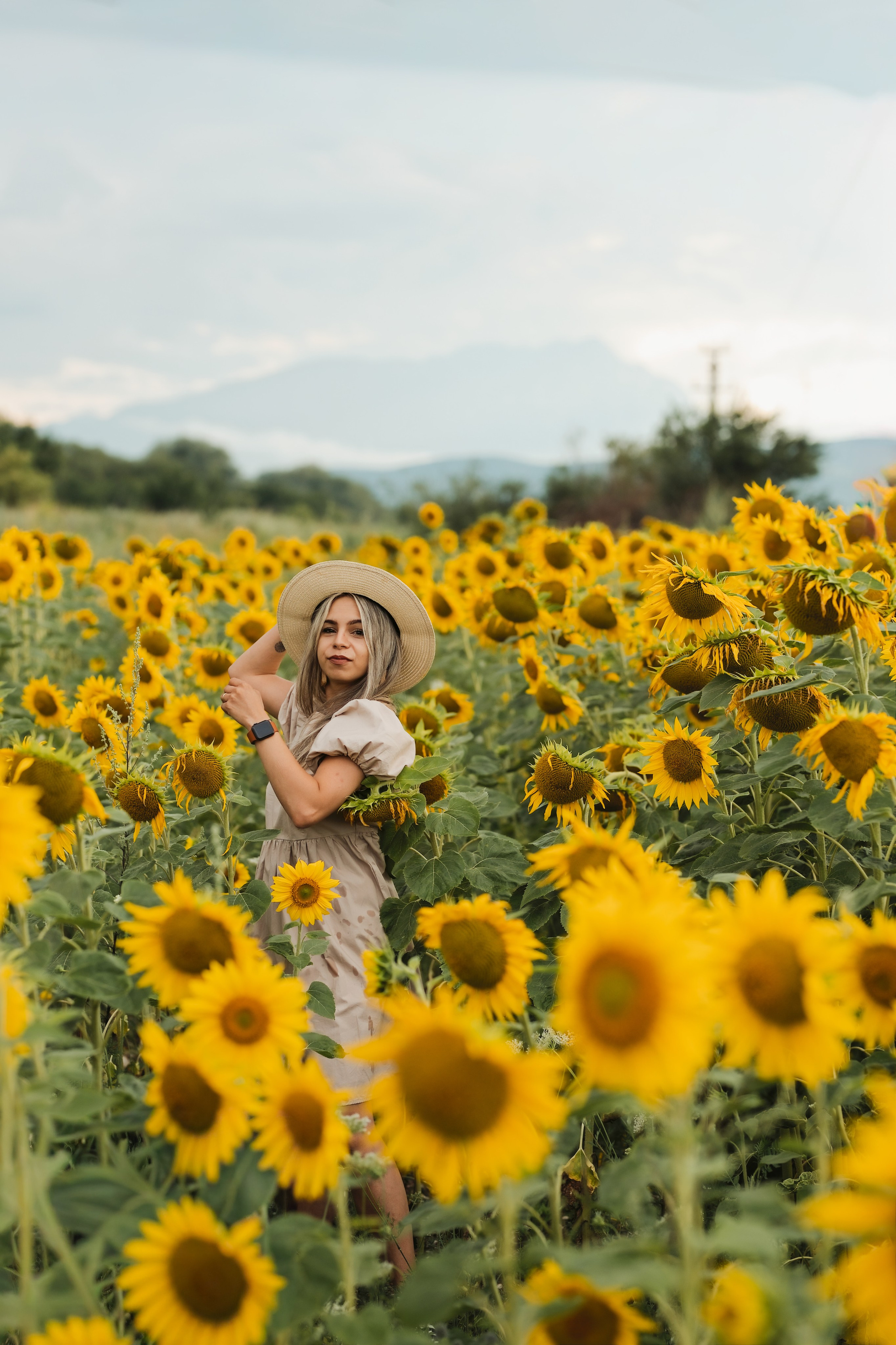 Madalina si Catalin — pfhotosession. Fotograf Nuntă & Familie în Brașov | Miruna Danet Photography