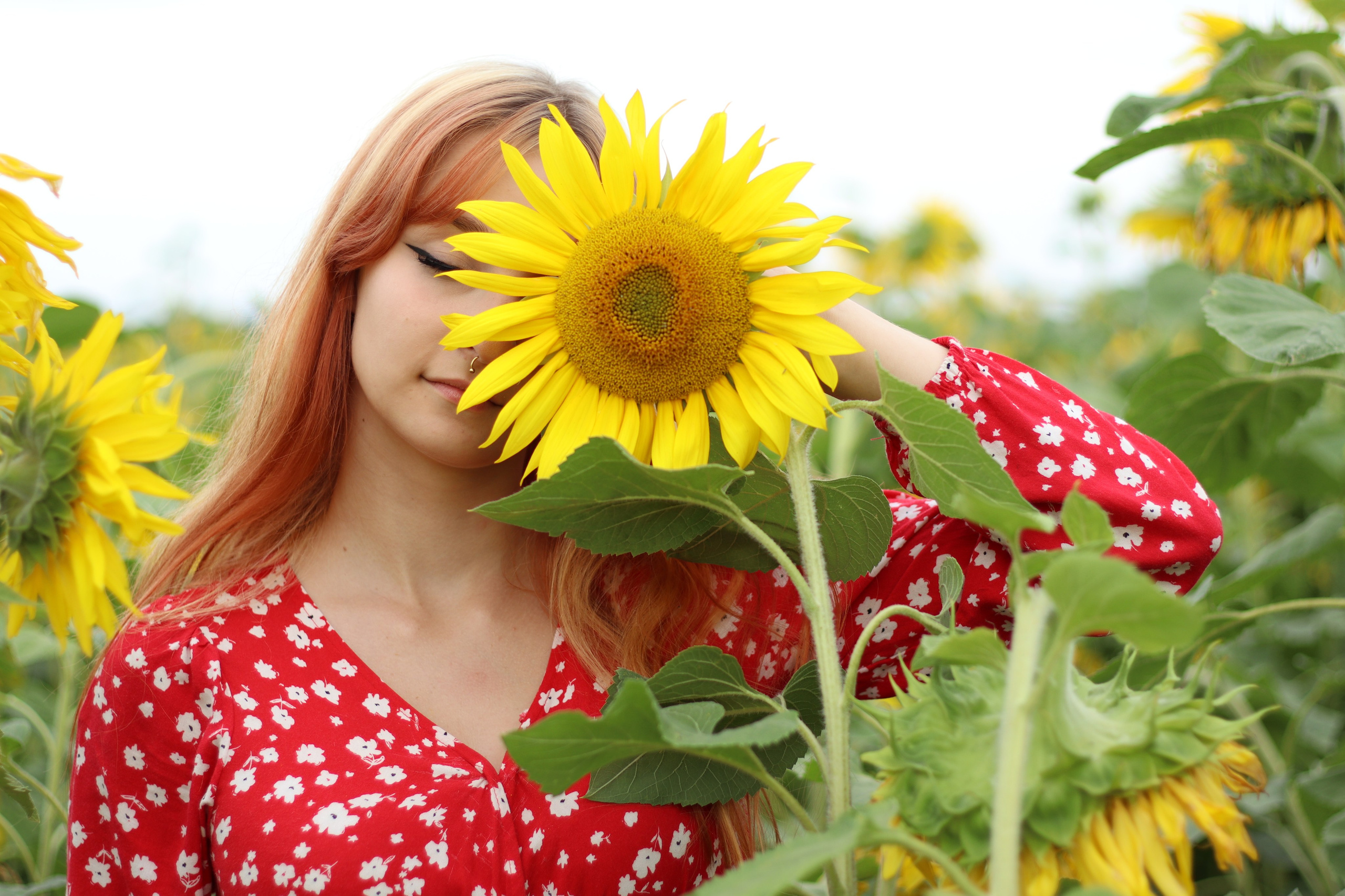 Фотосессия в подсолнухах