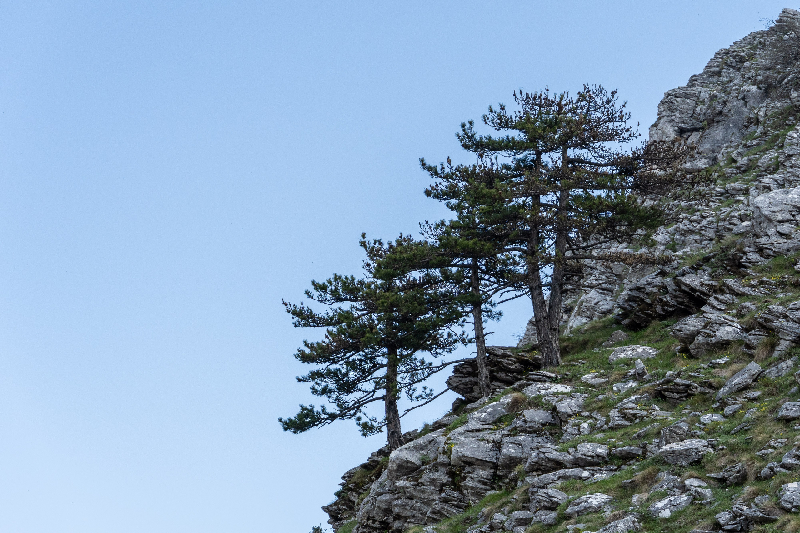 Thasos 2025. Fotografiideplacere.net
