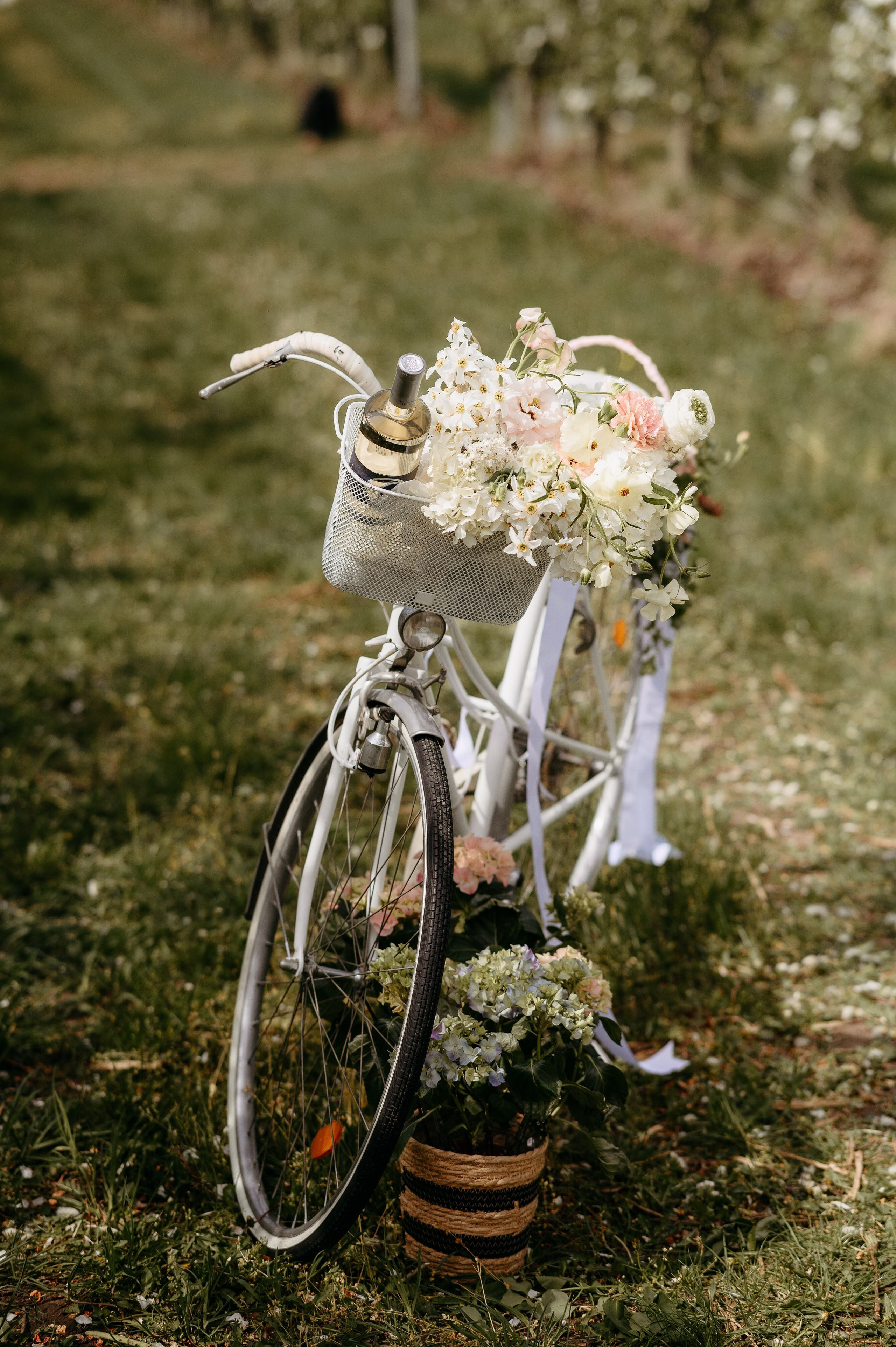 Elena. Valentin Melen - fotograf de nunta 🤍