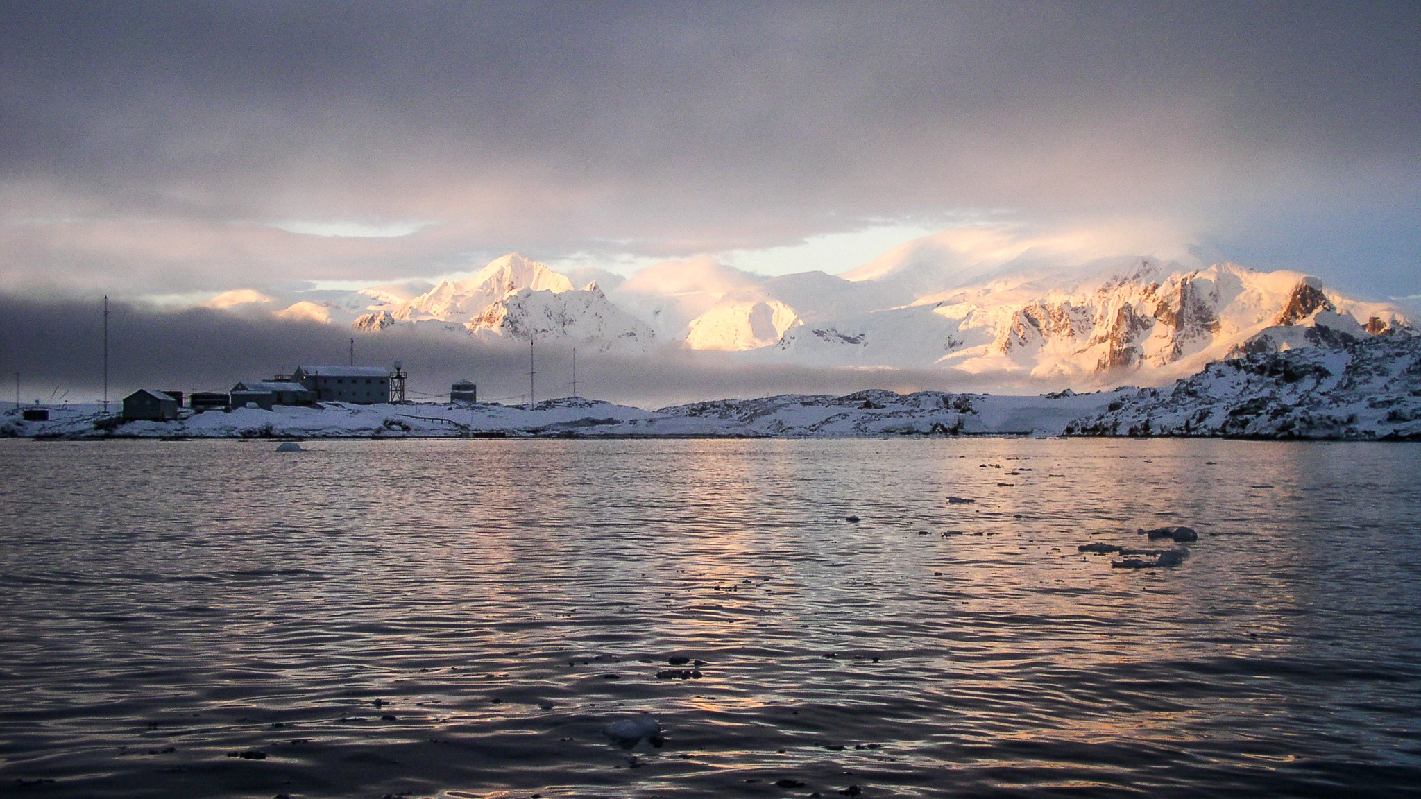 ANTARCTICA / 2004. Reportage concert portrait photography in the San Francisco Bay Area