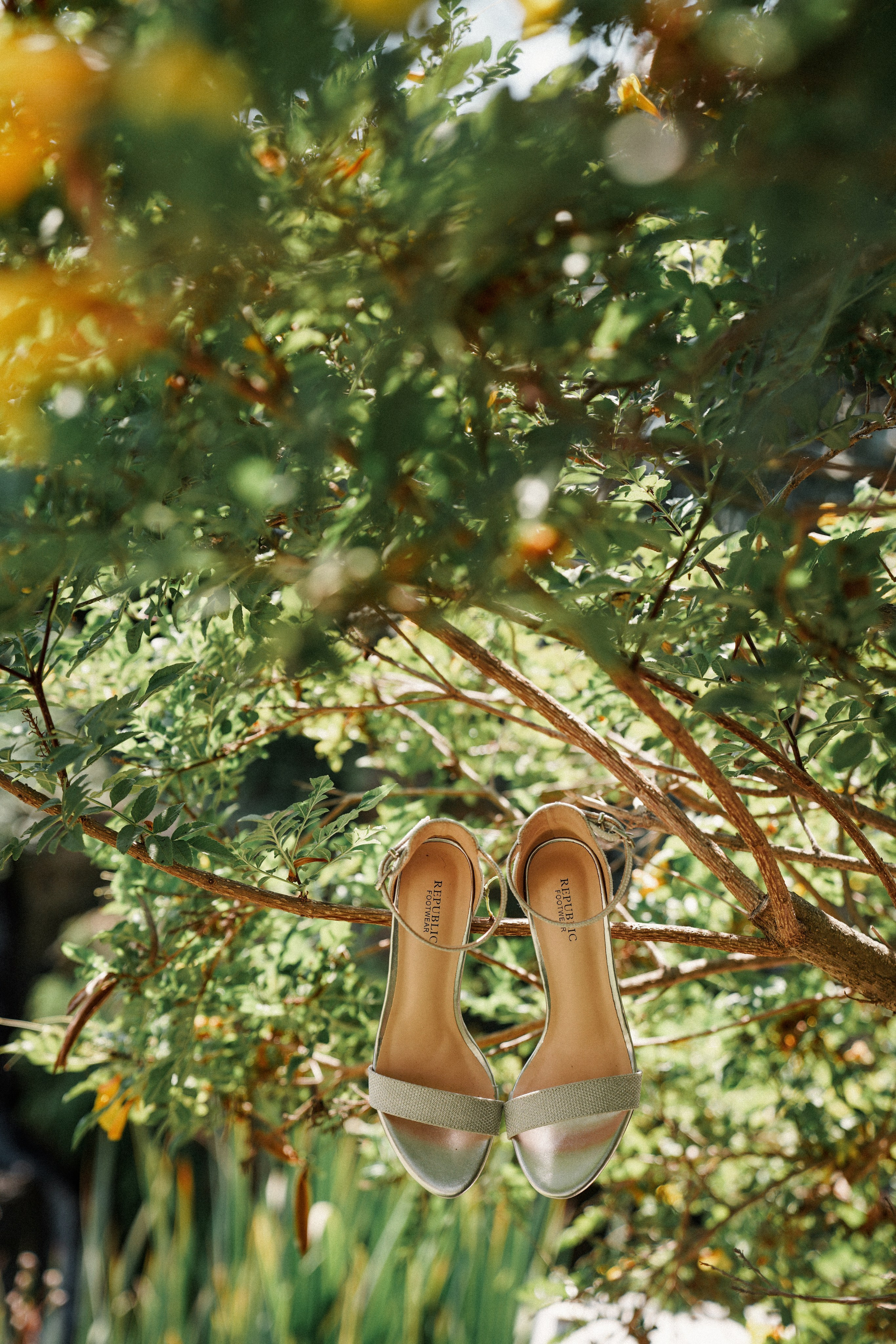 Dmitry Gorodetsky Event Photographer