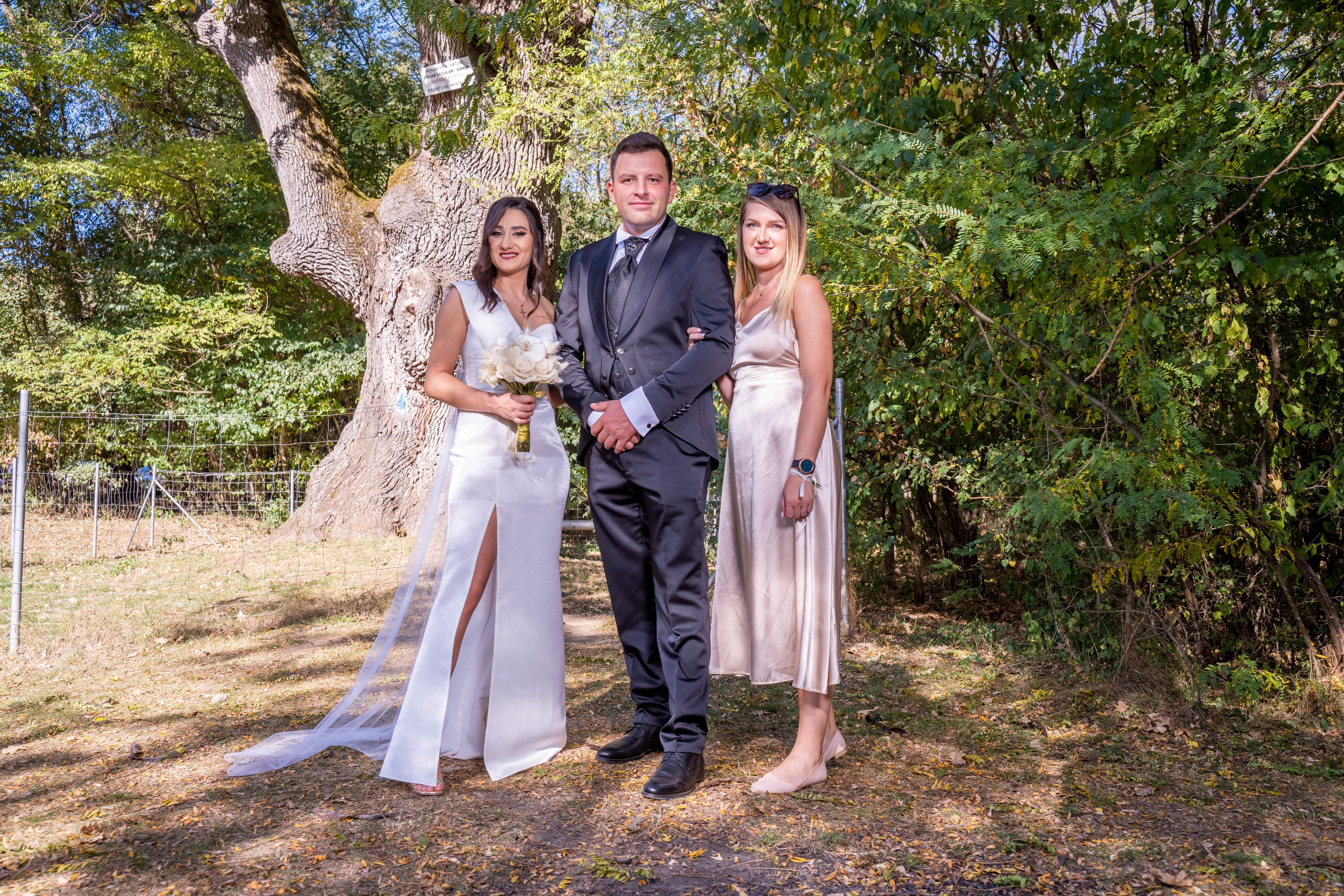 Nuntă Adina & Sorin