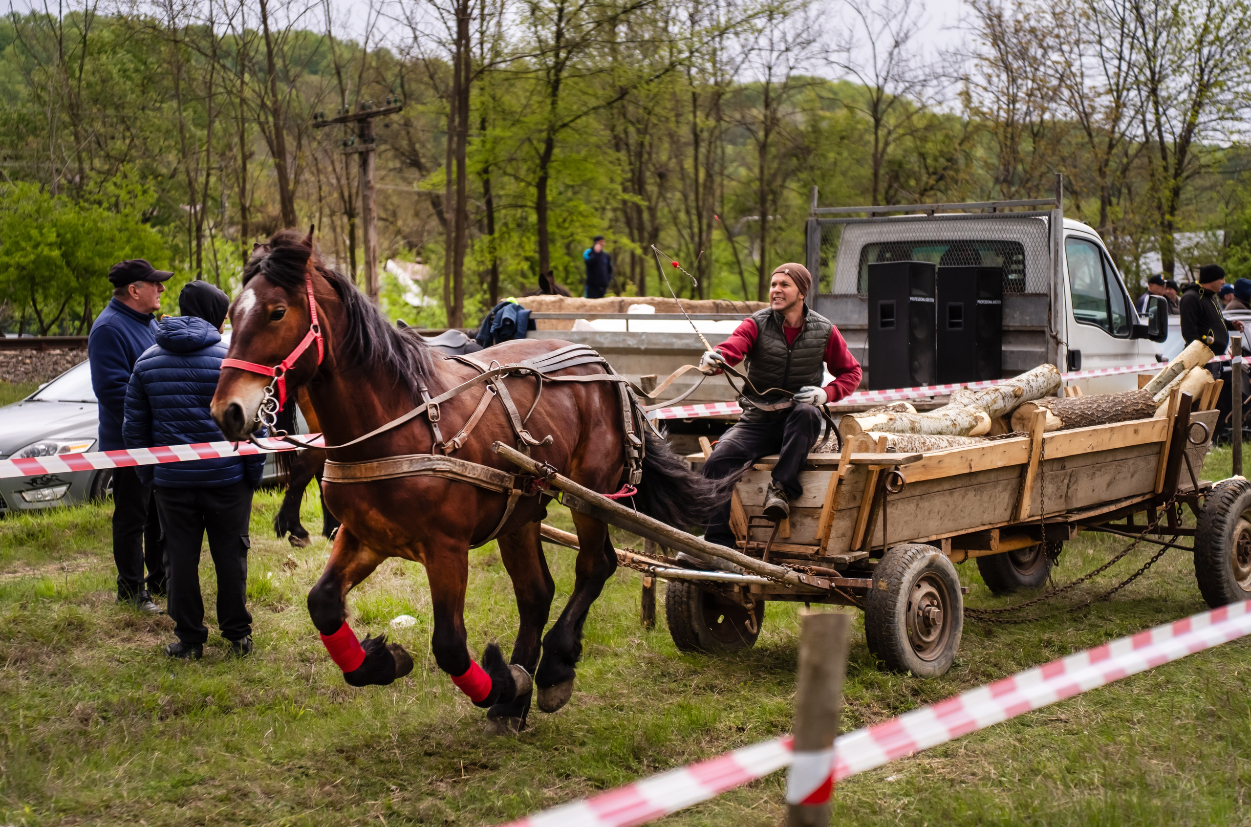 Concurs Ecvestru Vărbilău ediția a 4-a. Mihai Alexandra Events