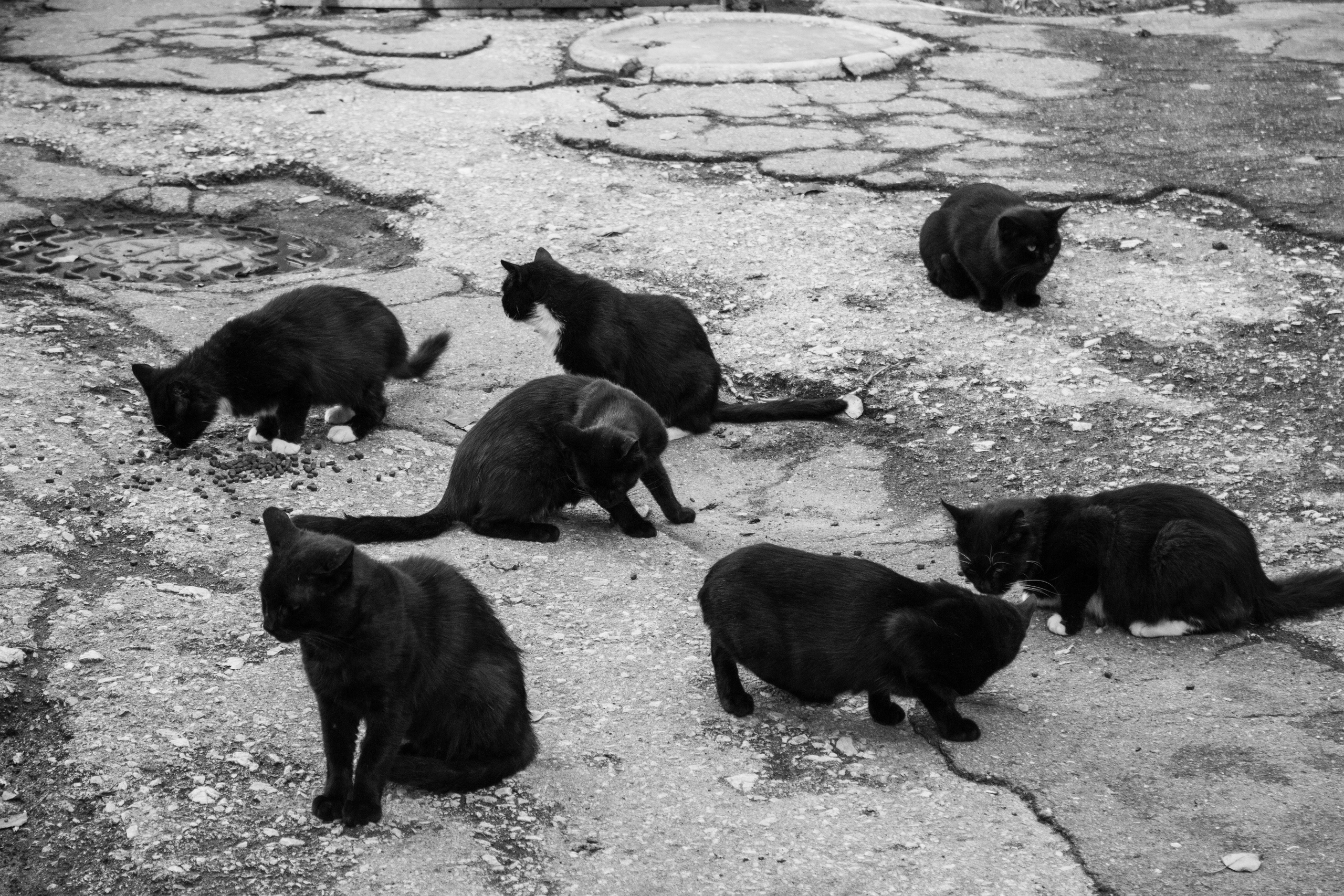 Фотографии, которые можно заказать под печать для интерьера. Ekaterina Verbitskaya. Photography