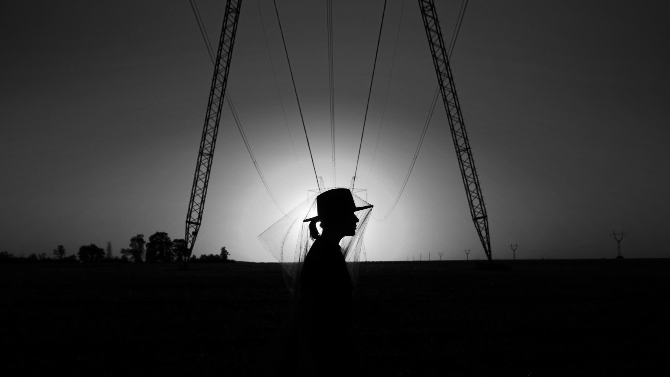 Фотографии, которые можно заказать под печать для интерьера. Ekaterina Verbitskaya. Photography