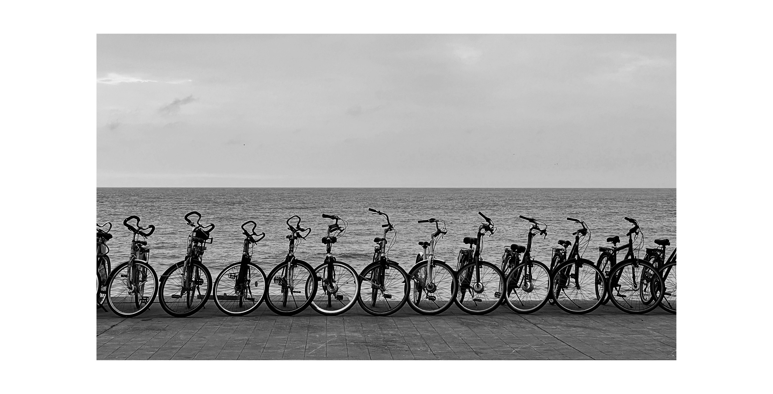 Фотографии, которые можно заказать под печать для интерьера. Ekaterina Verbitskaya. Photography