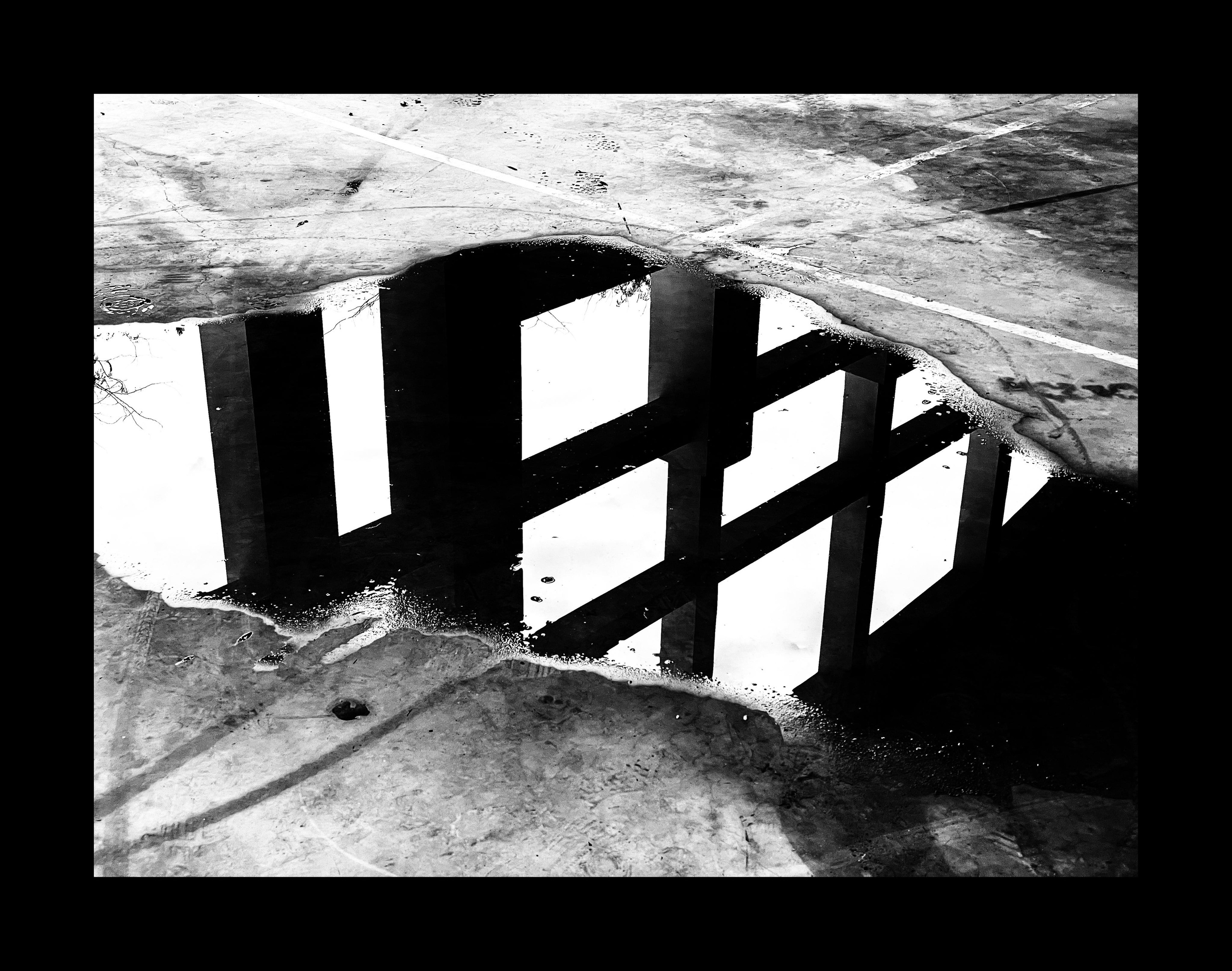 Фотографии, которые можно заказать под печать для интерьера. Ekaterina Verbitskaya. Photography