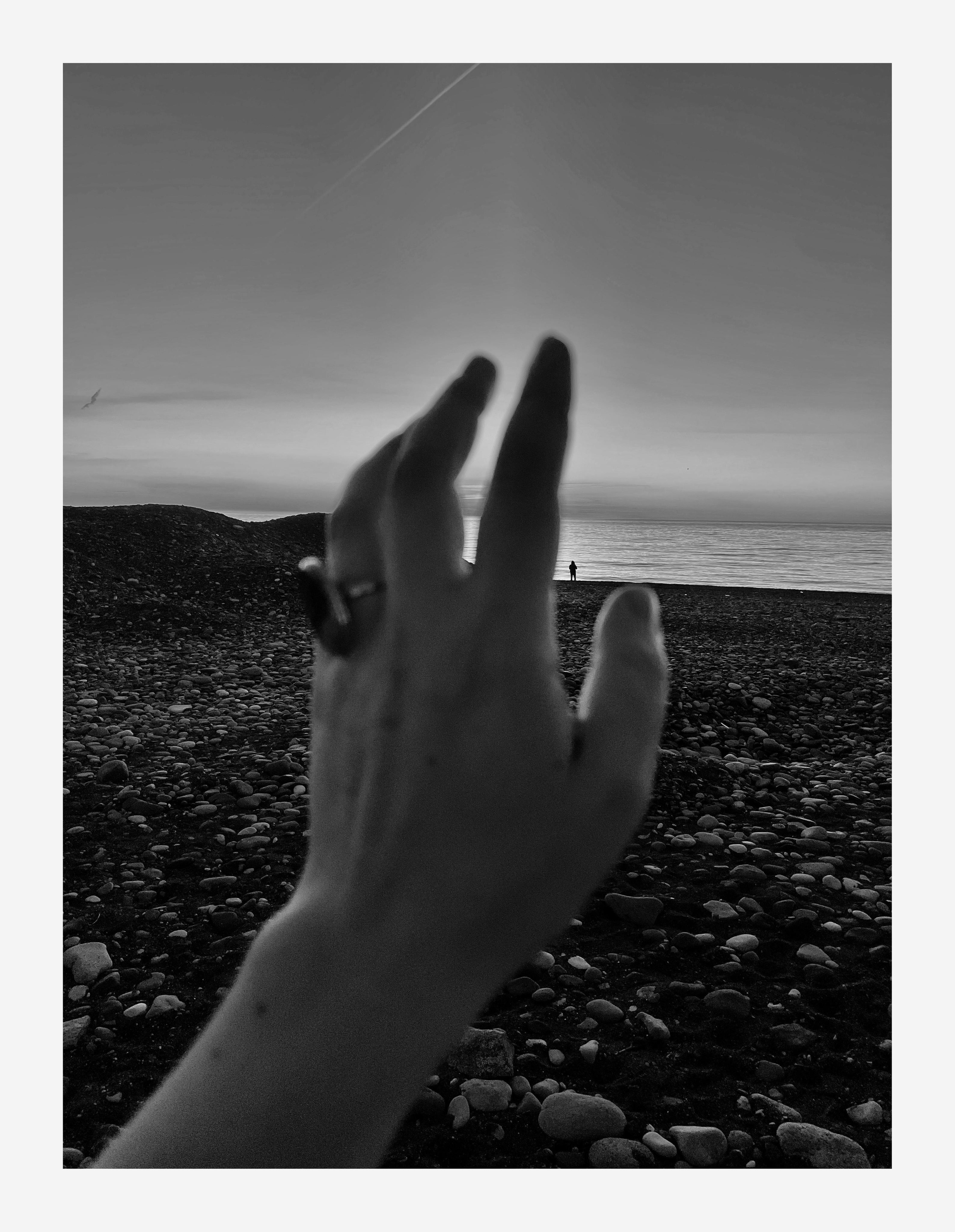 Фотографии, которые можно заказать под печать для интерьера. Ekaterina Verbitskaya. Photography