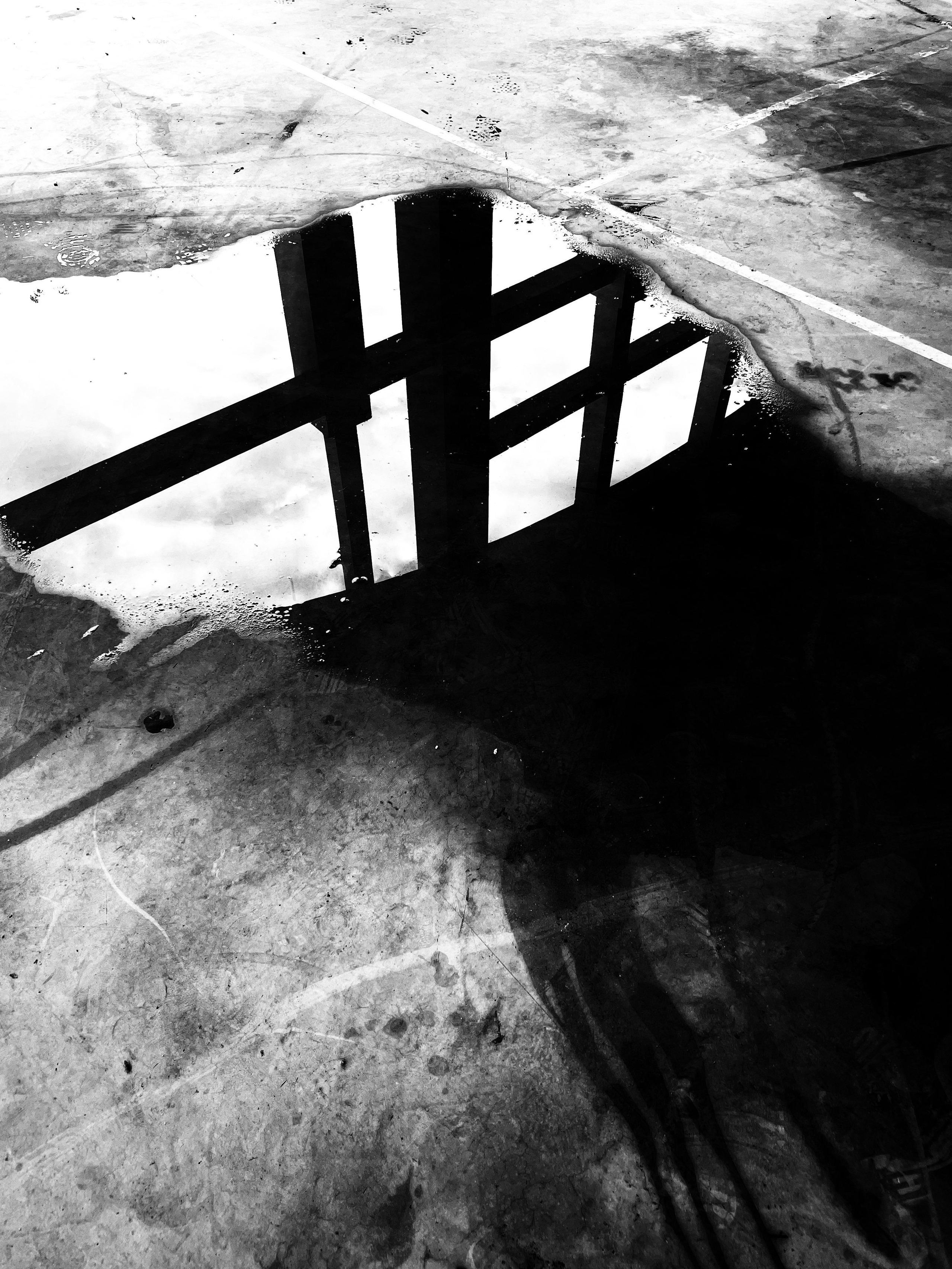 Фотографии, которые можно заказать под печать для интерьера. Ekaterina Verbitskaya. Photography