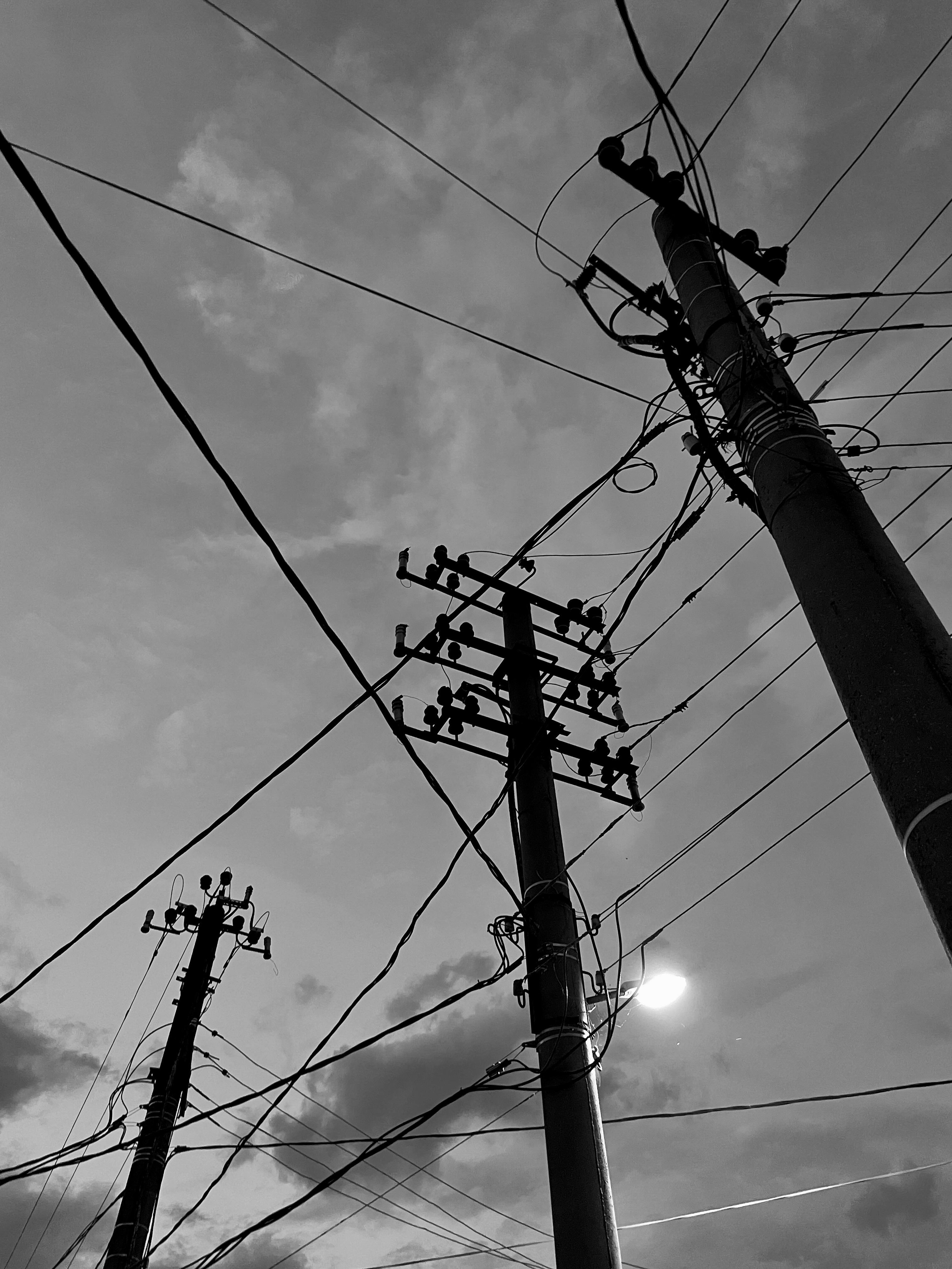 Фотографии, которые можно заказать под печать для интерьера. Ekaterina Verbitskaya. Photography