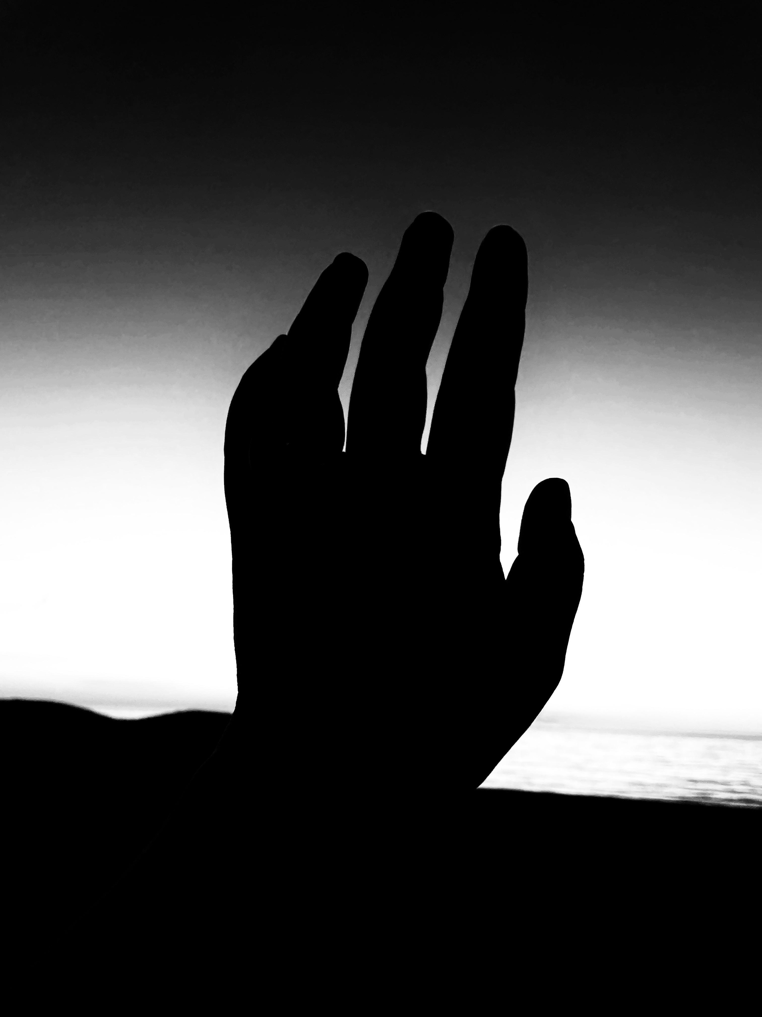 Фотографии, которые можно заказать под печать для интерьера. Ekaterina Verbitskaya. Photography