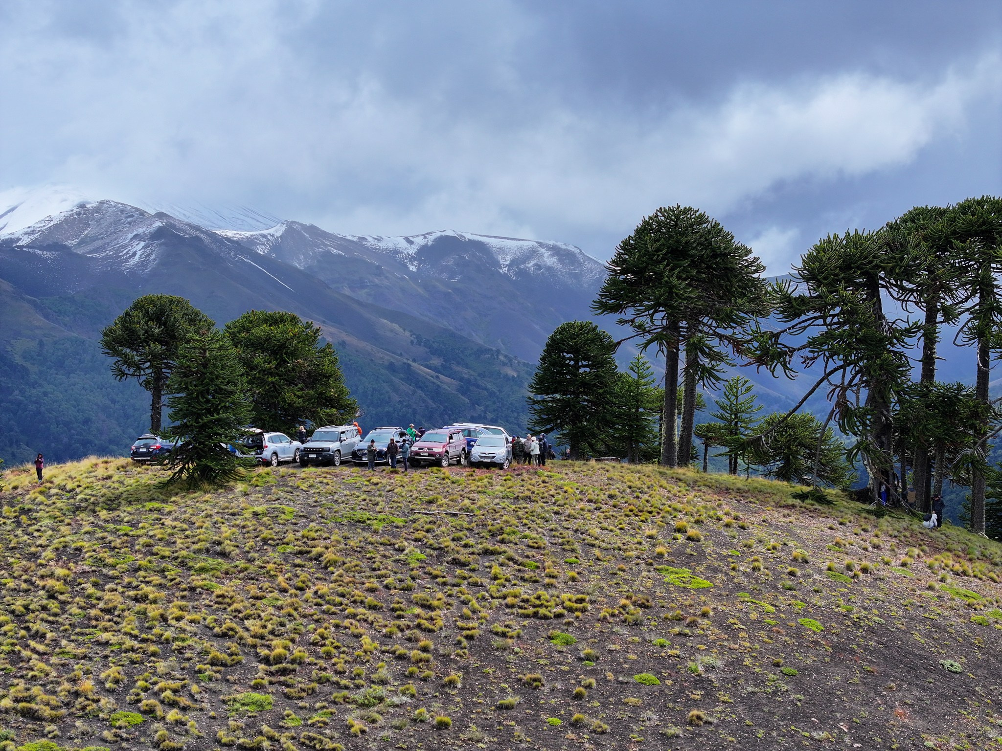 Campamento 8vo Aniversario. Fotógrafo de naturaleza en Chile Cristian Larrere Worner