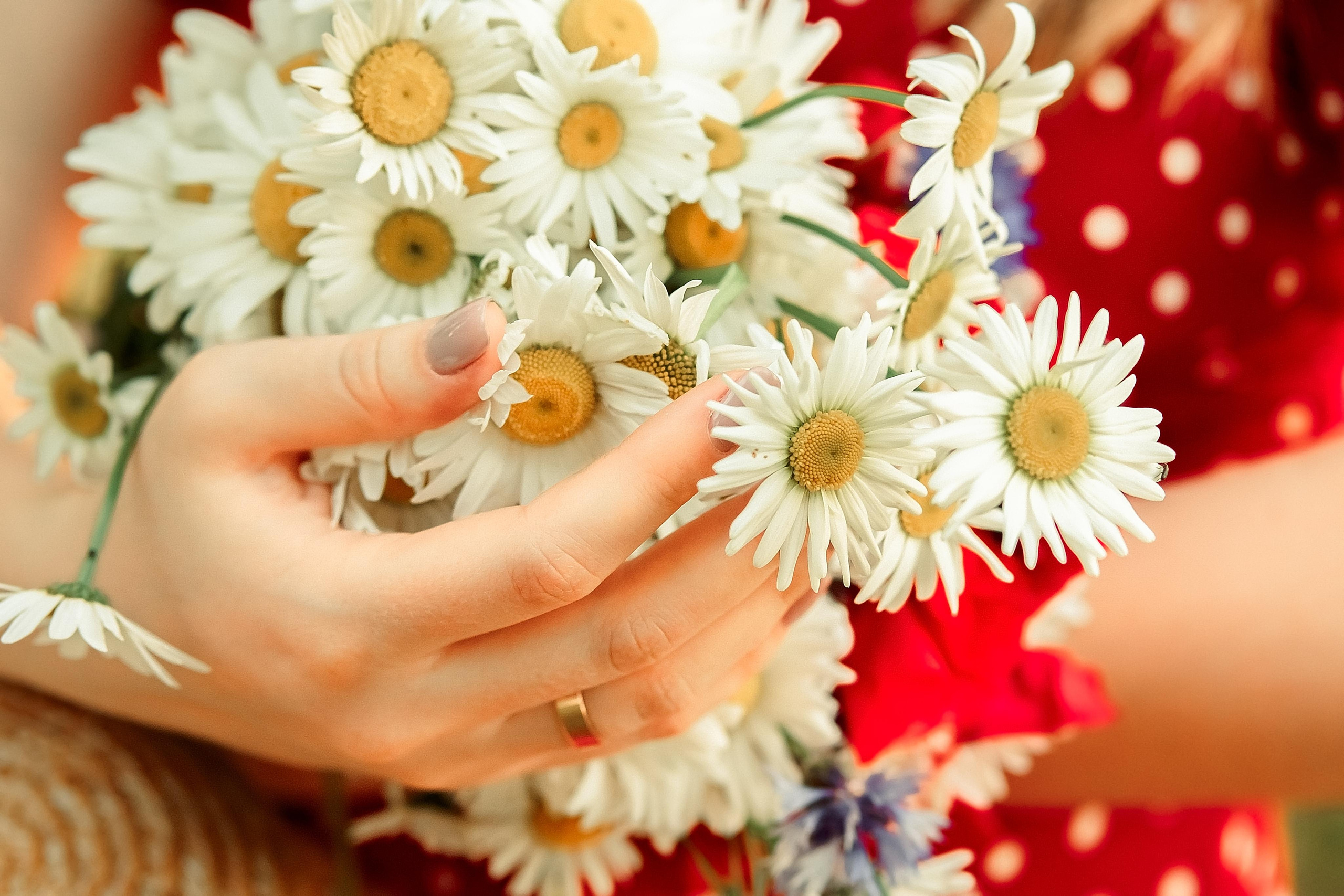 Мандруючи Україною. Валерія Сичова. Сімейний та репортажний фотограф в Португаліі