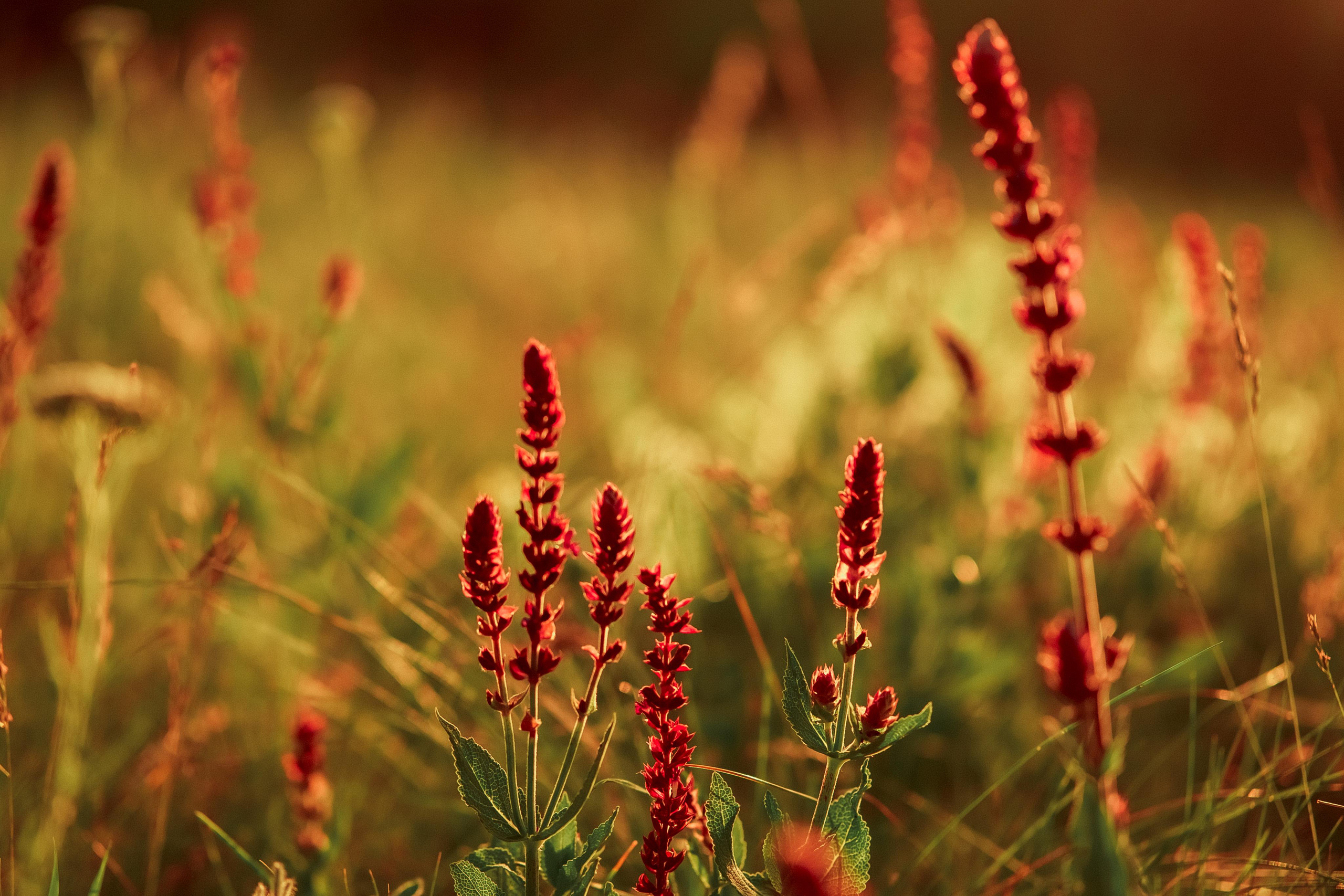 Мандруючи Україною. Валерія Сичова. Сімейний та репортажний фотограф в Португаліі