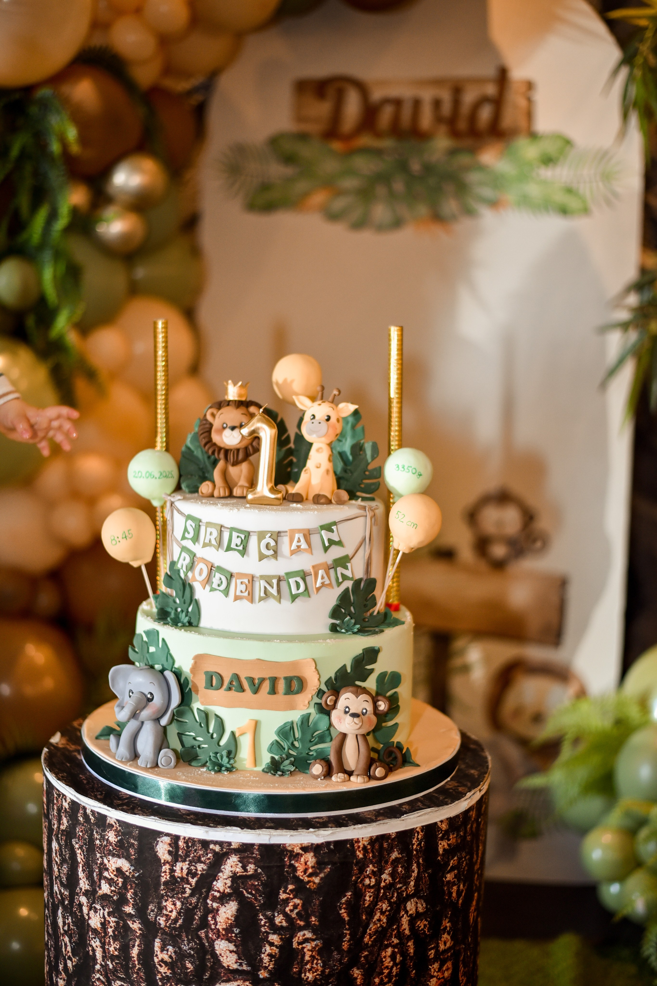 Proslava prvog rodjendana / celebrate first birthday