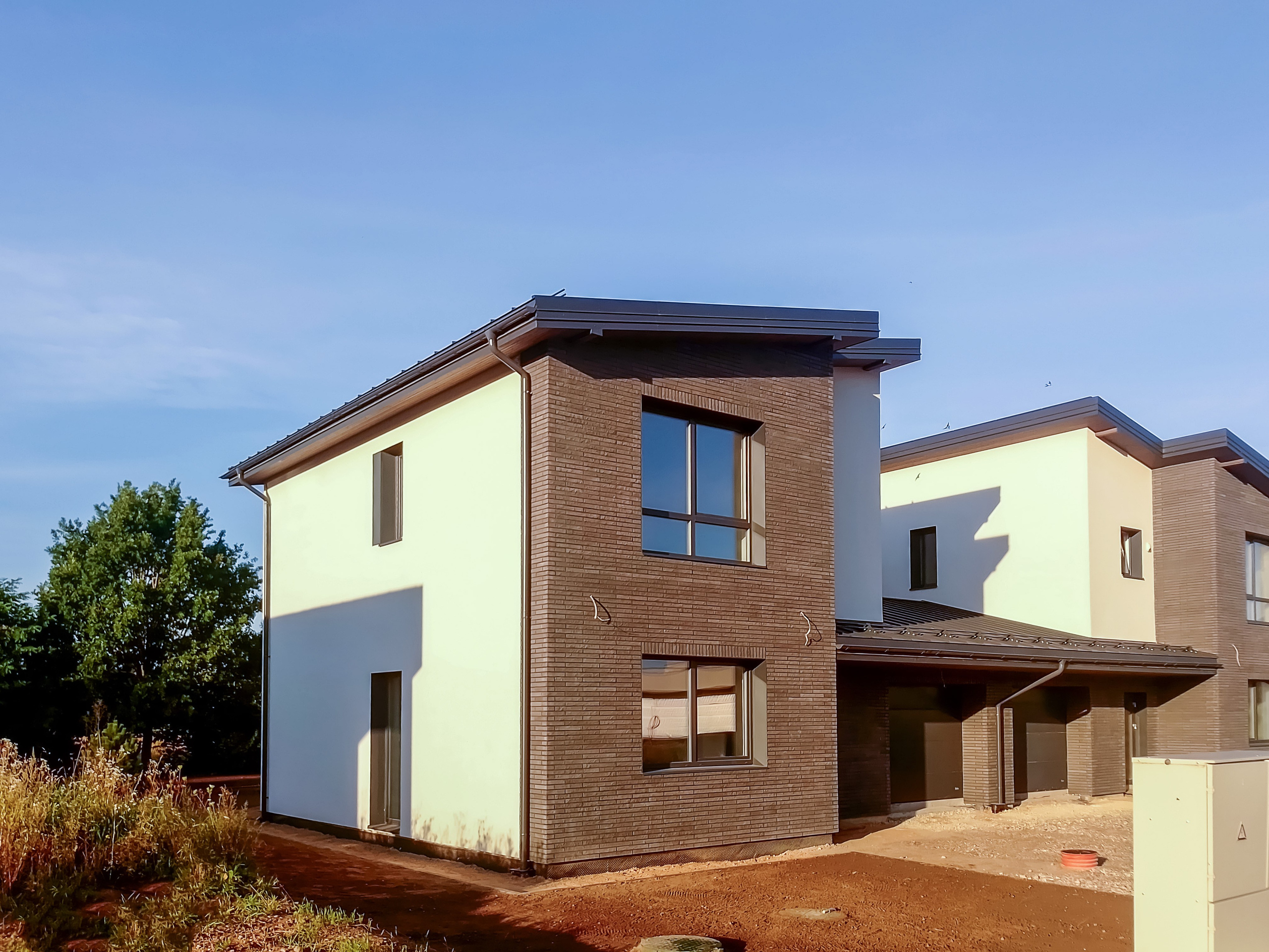 Debesų g. 4, Salotė. Elina Sapiega fotografė Vilniuje