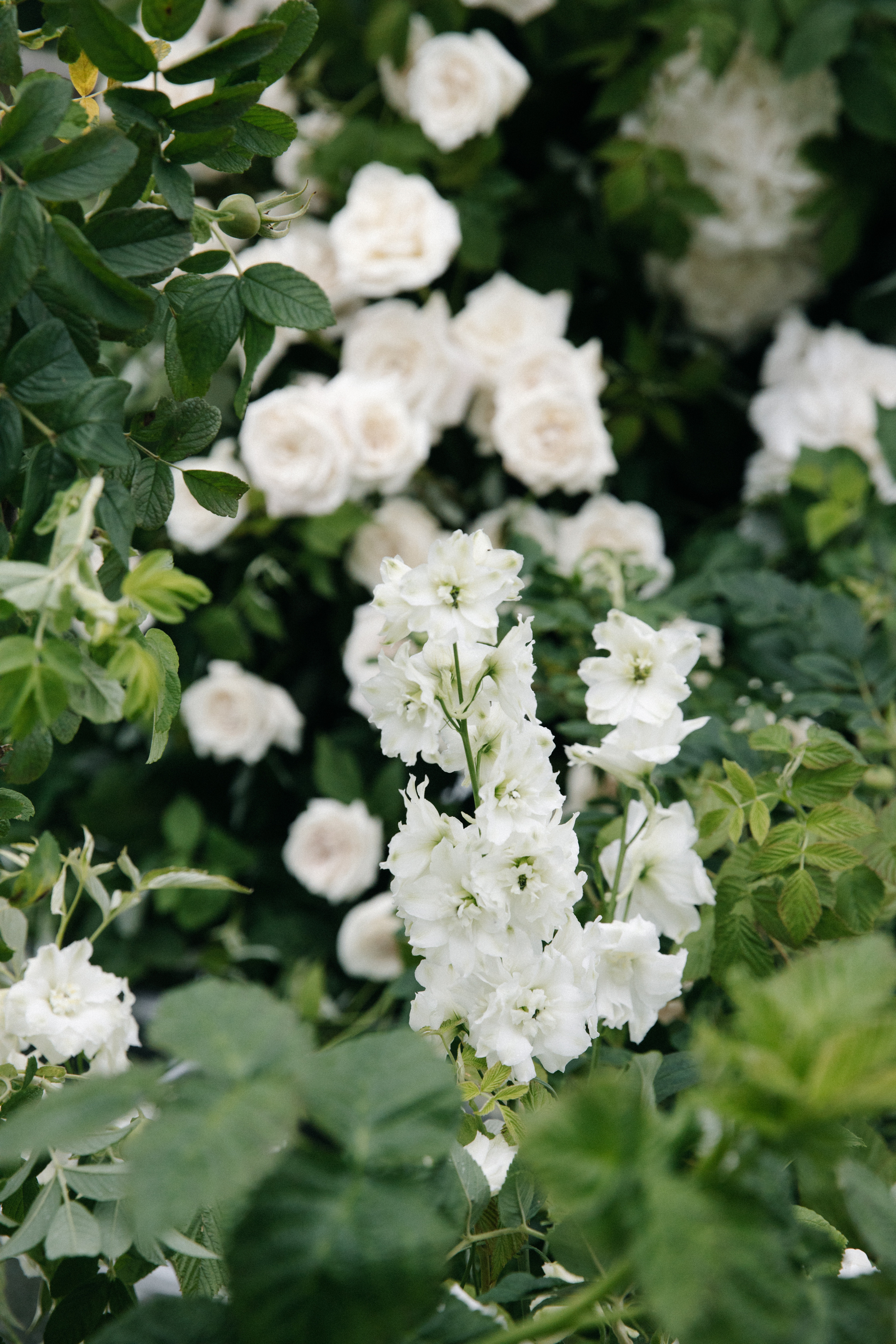 Angelina and Andrew’s Hockey-Themed Outdoor Wedding. Wedding photographer and videographer New York | New Jersey