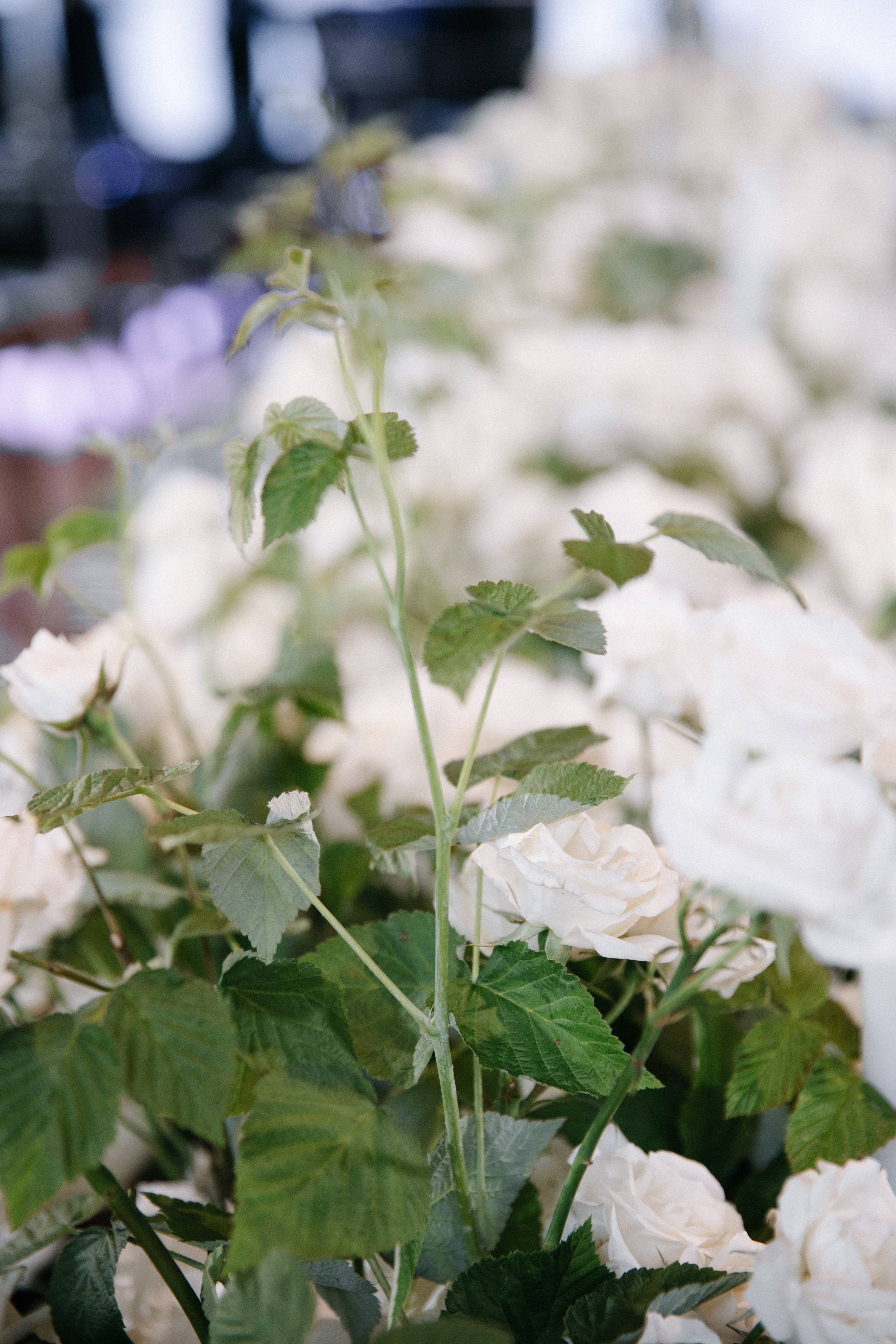 Angelina and Andrew’s Hockey-Themed Outdoor Wedding. Wedding photographer and videographer New York | New Jersey