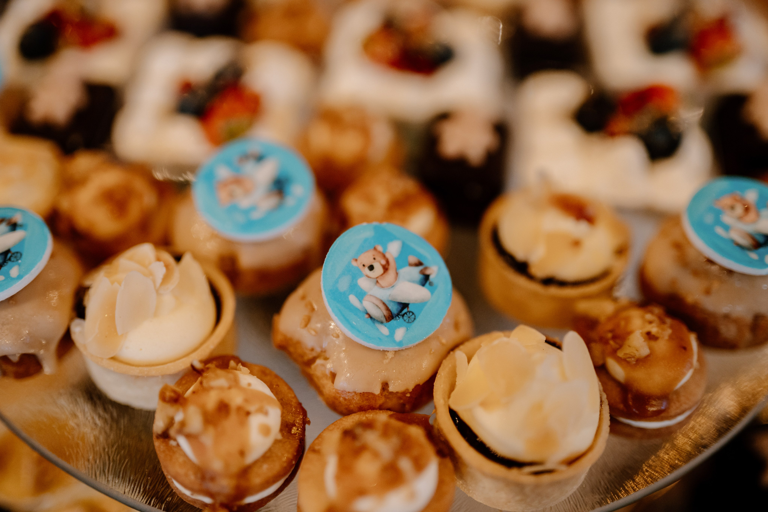 Amza — 1 year. Gabrielacojocariu.com