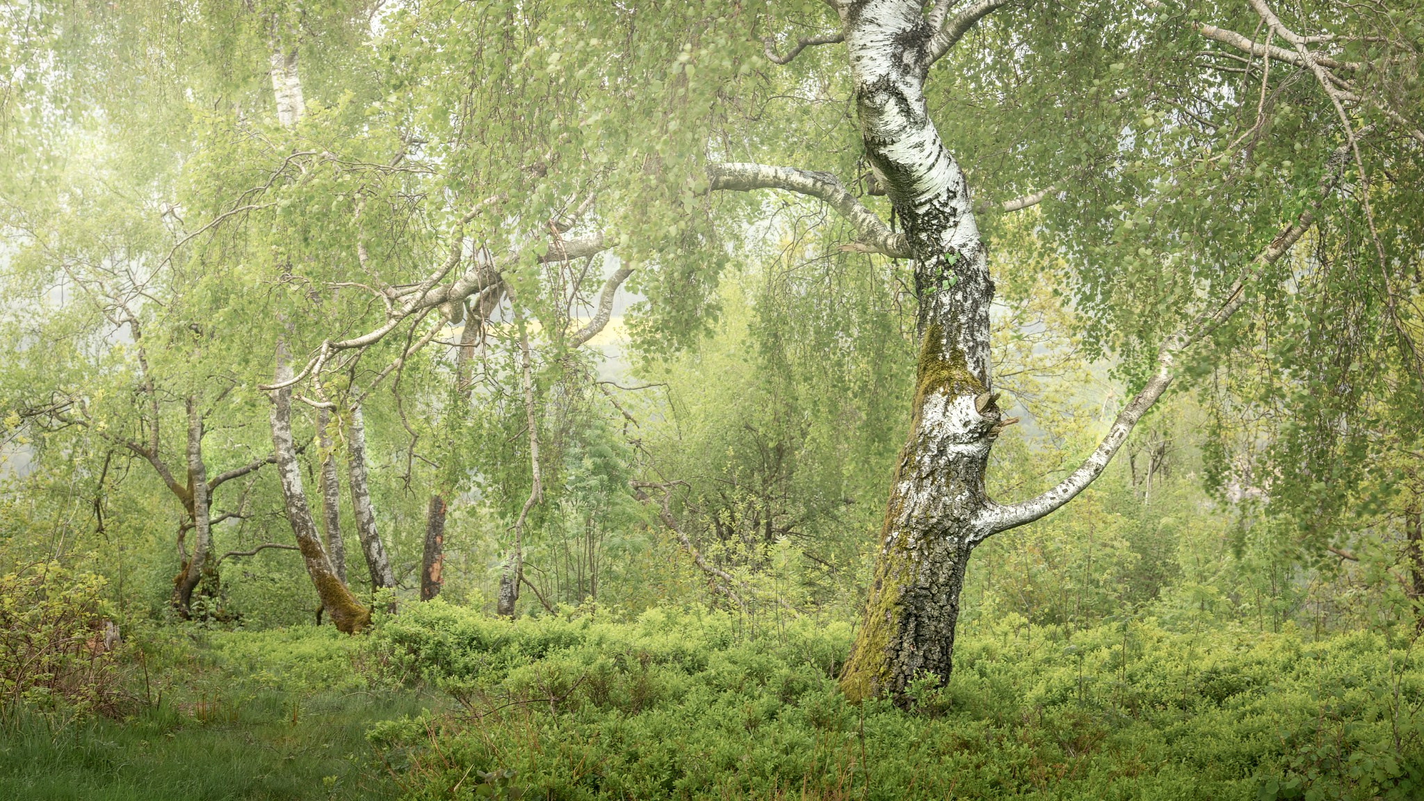 Nature Photographer and Videographer from Germany