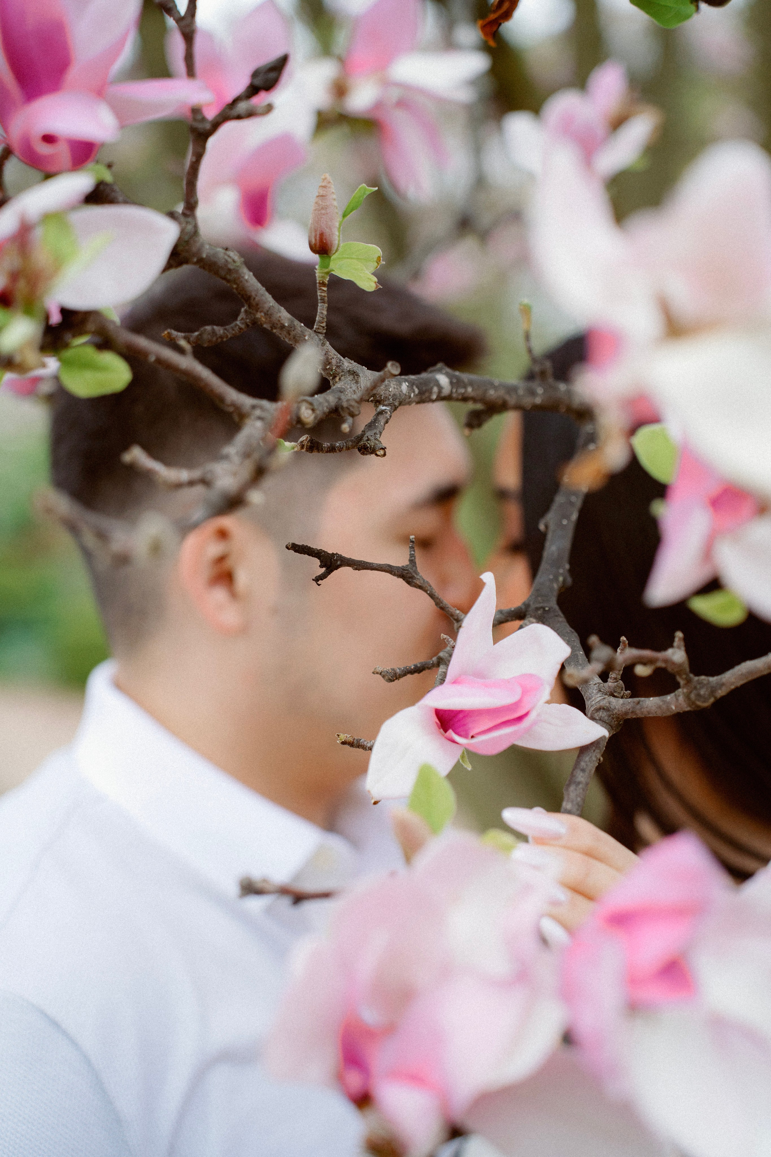 Couple Photography | Chicago Botanic Garden. Main