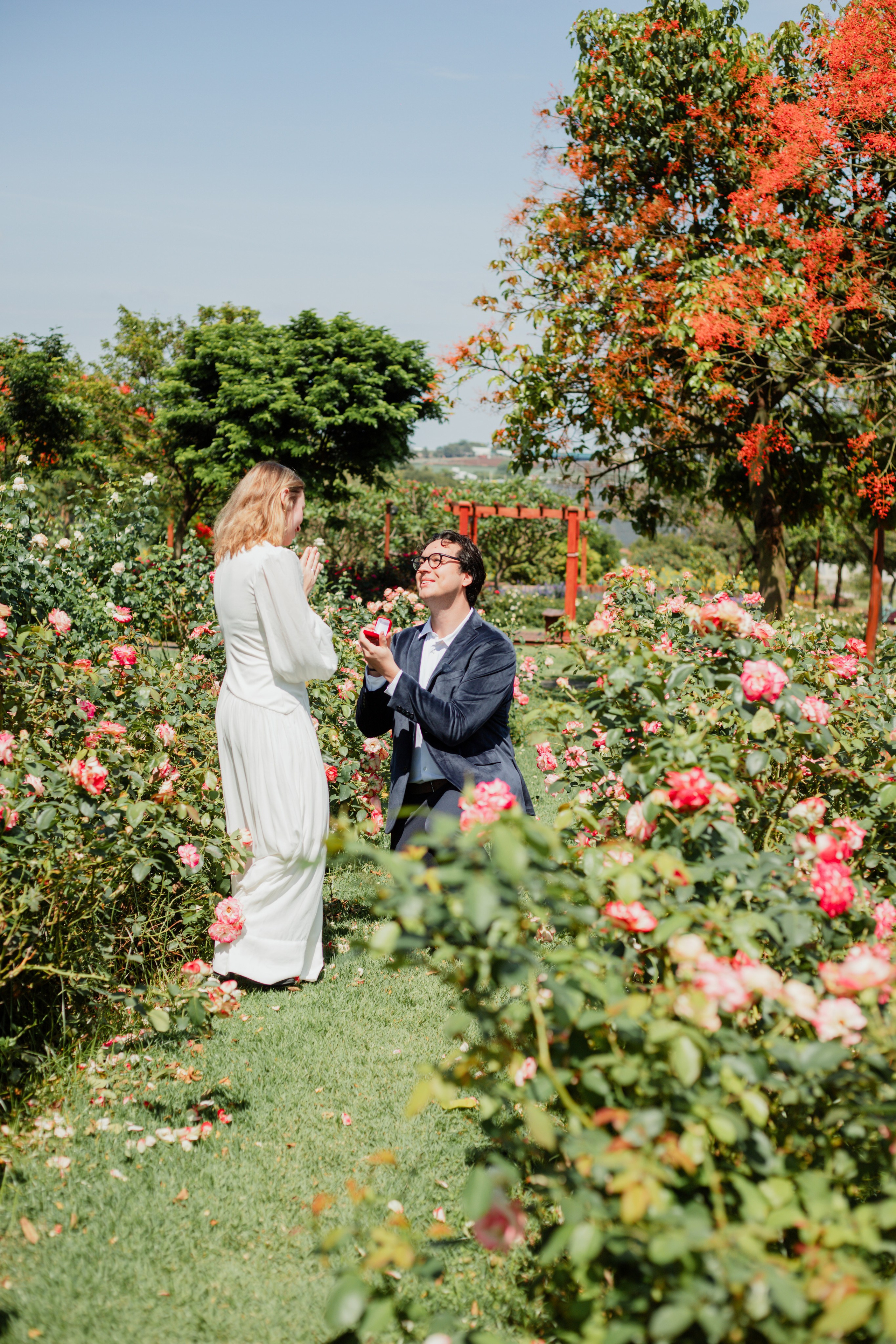 Pedido de Casamento /Bloemen Park. Joyce Maria Fotografia | Fotógrafa em Holambra