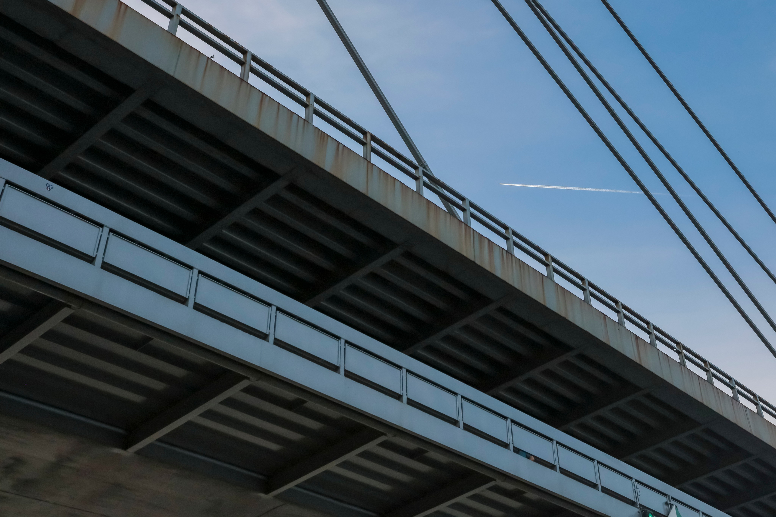 Environment. Reportage photographer Bratislava | Репортажний фотограф Братислава