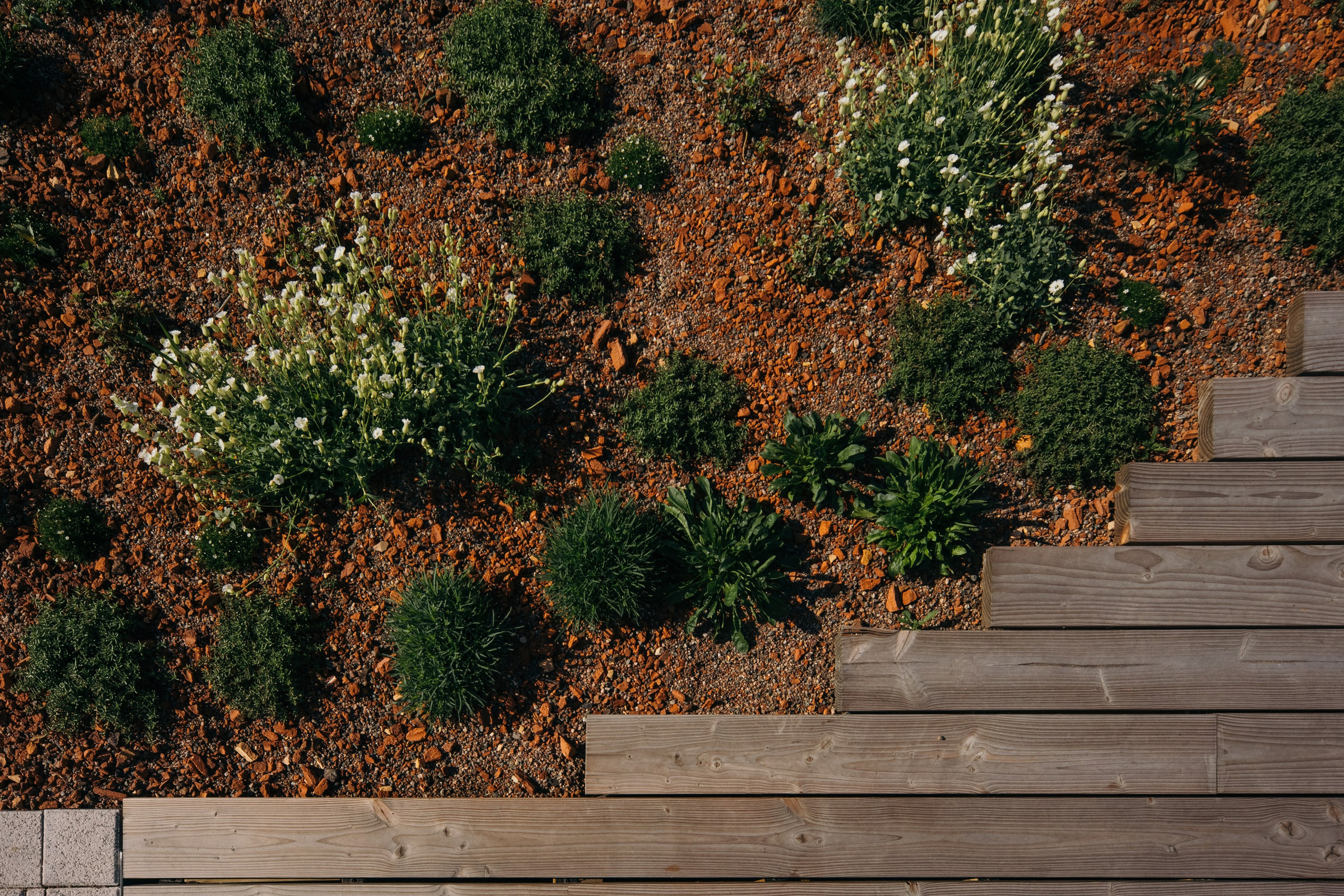 Hotelli Pier 4:n kattoterassi, Sokos. Valokuvaaja Lahti, Helsinki Elena Salonen