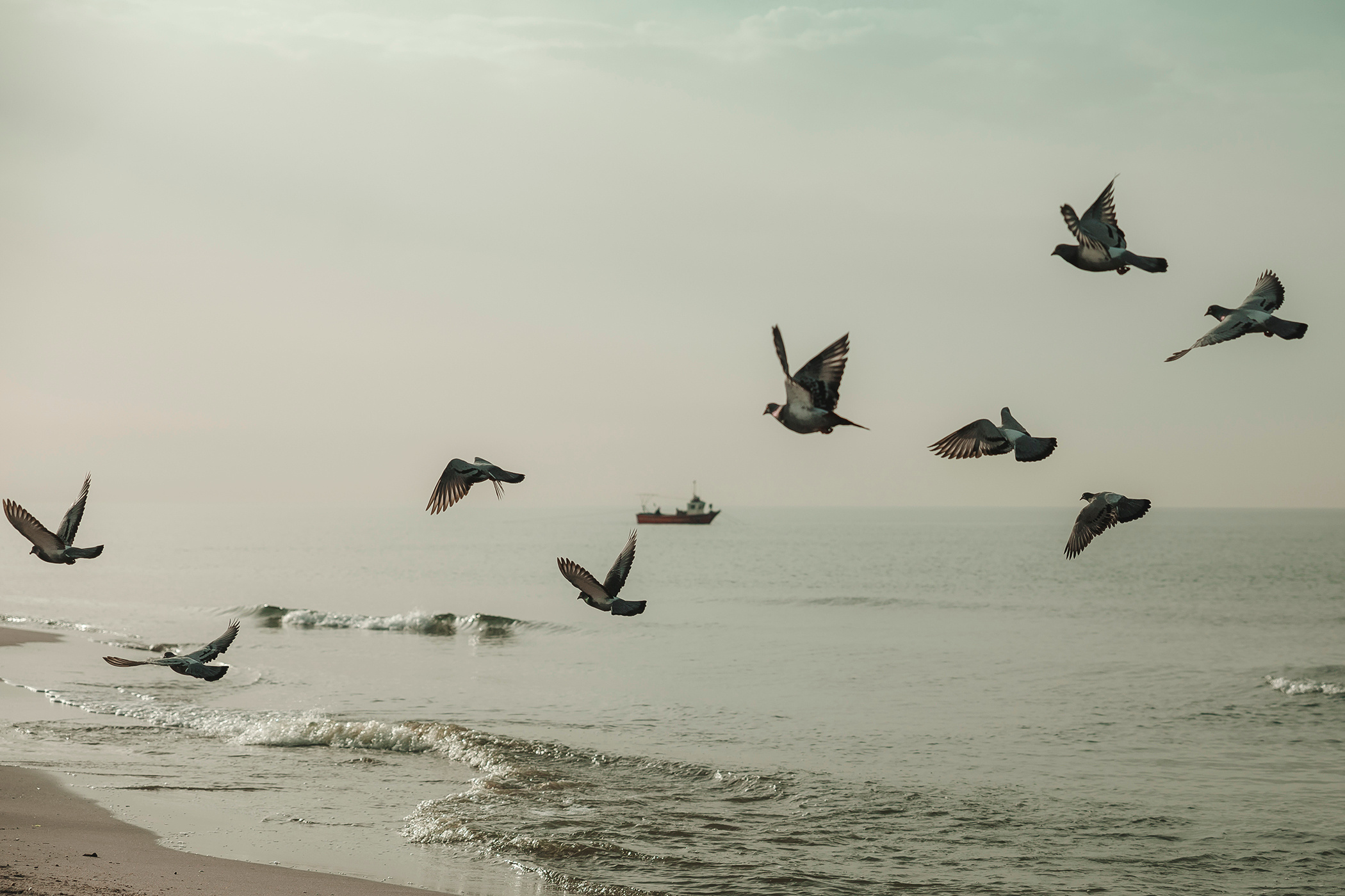 Alina & Alejandro (Barcelona, Spain)