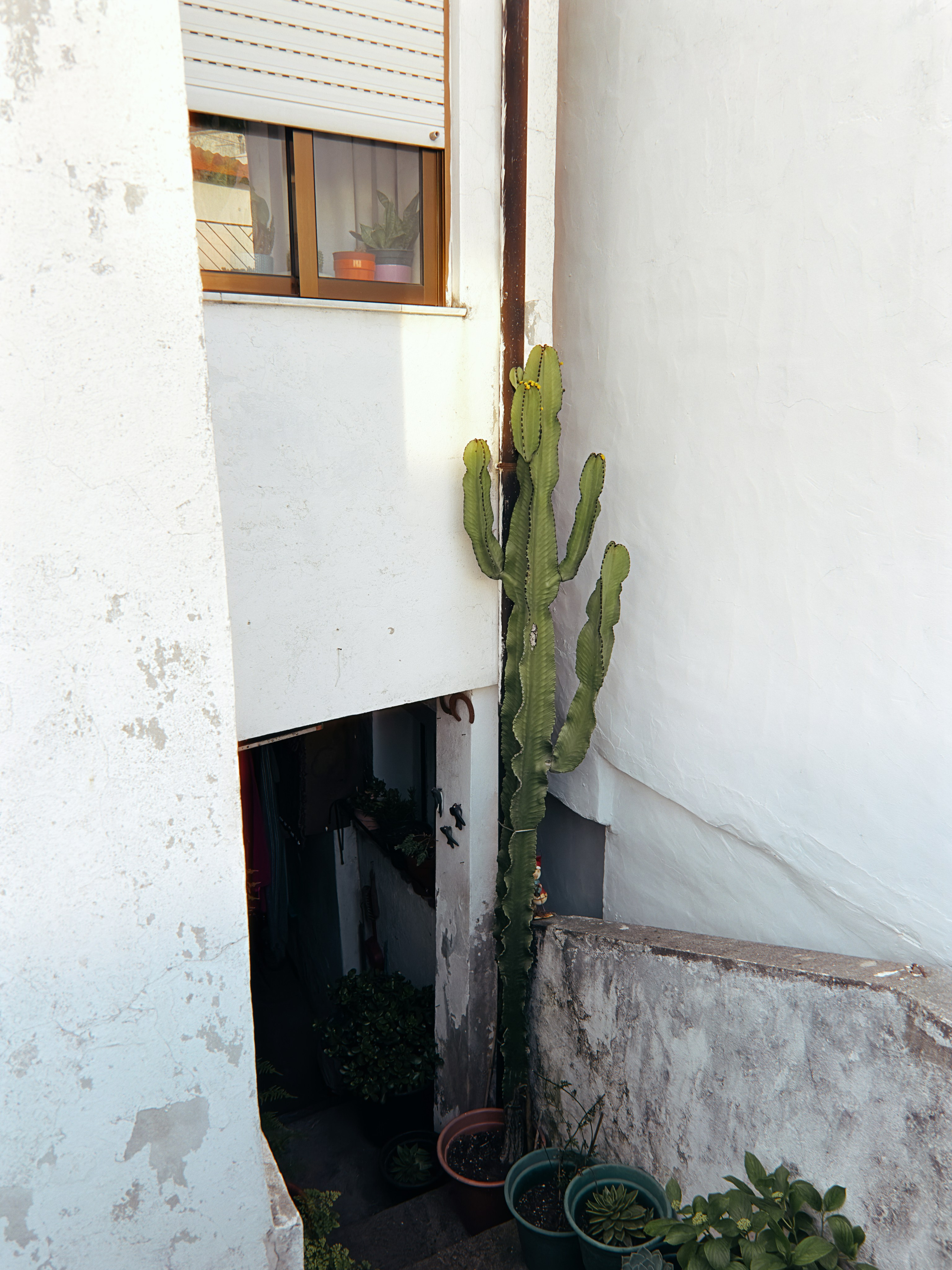 Mobilography. Artem Avanesov. Visual Content Creator