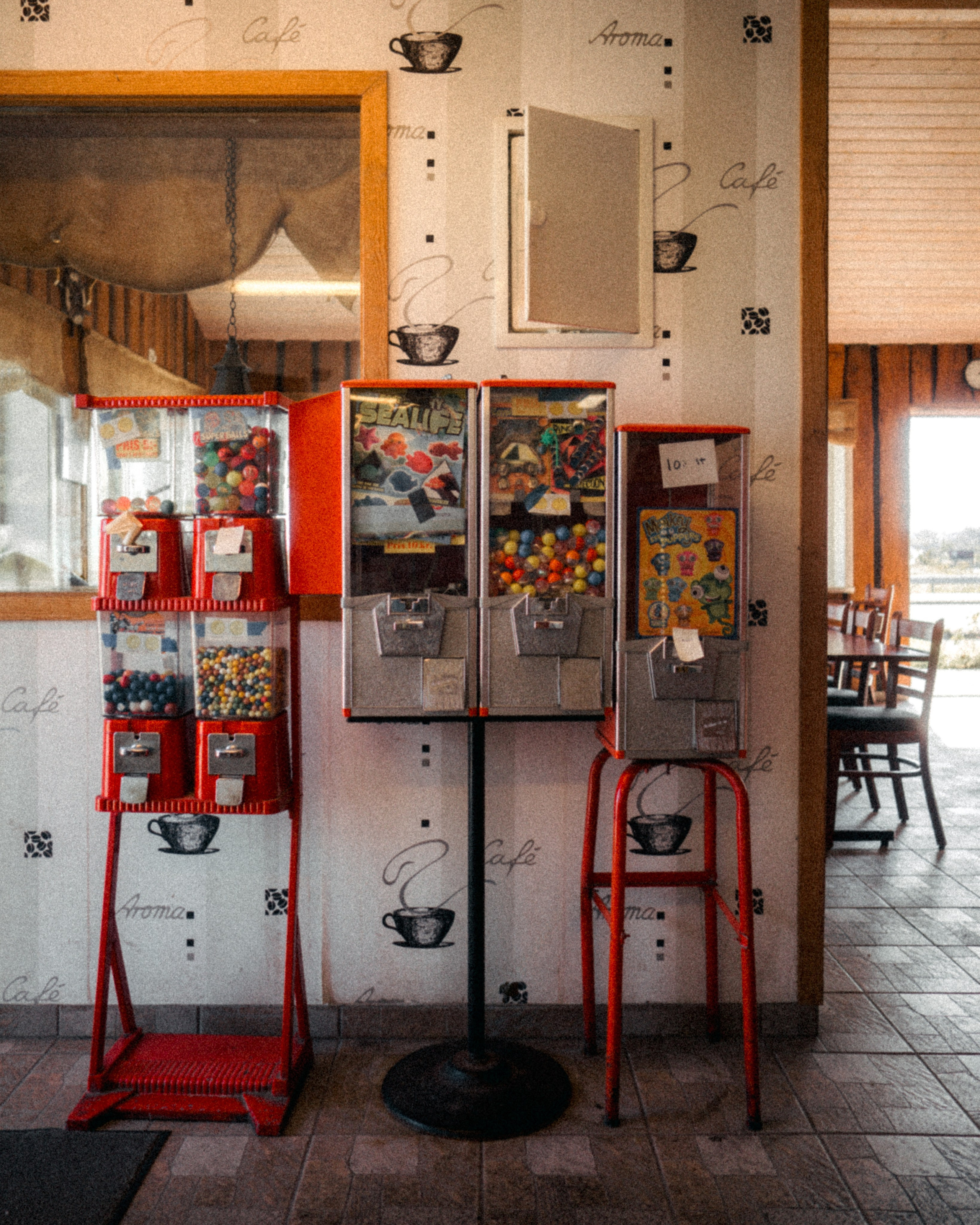 Roaming. Mike Avelli