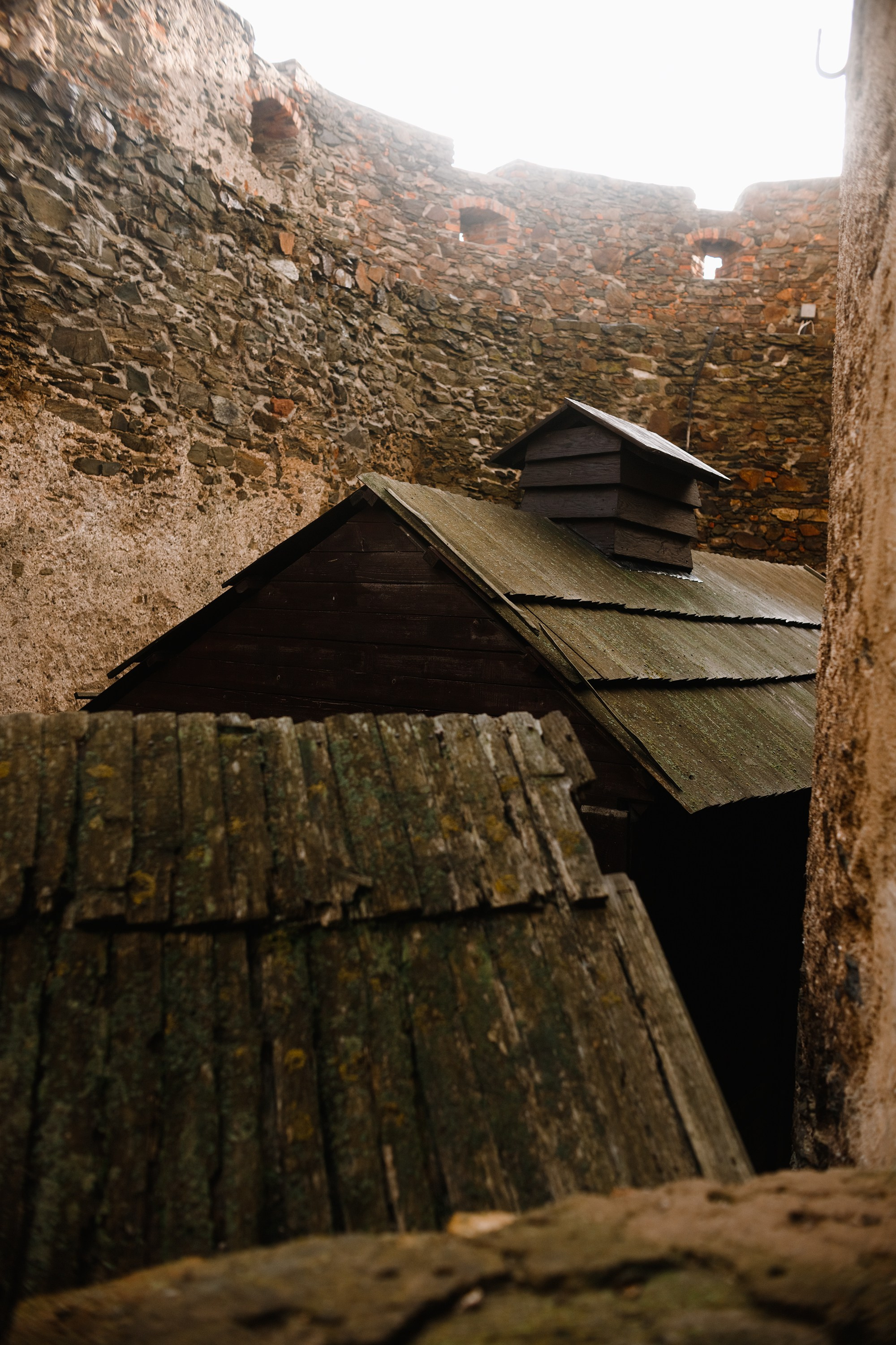 Bolków castle. Kaja | fotograf we Wrocławiu | ludzie i psy
