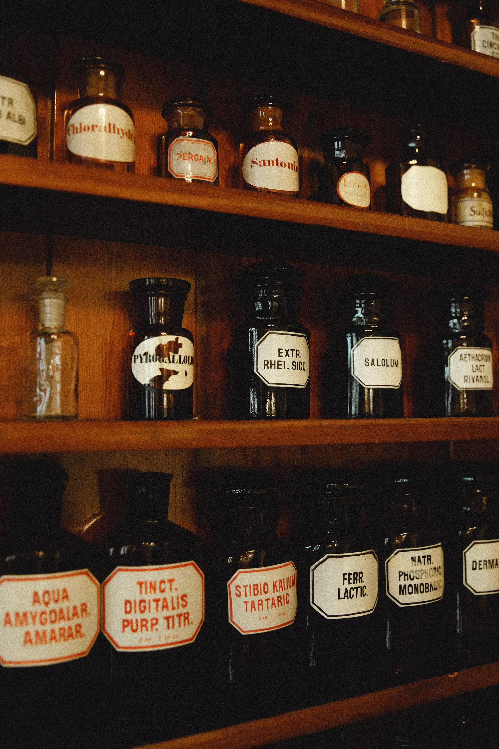 Museum of farmacy in Wroclaw. Kaja | fotograf we Wrocławiu | ludzie i psy