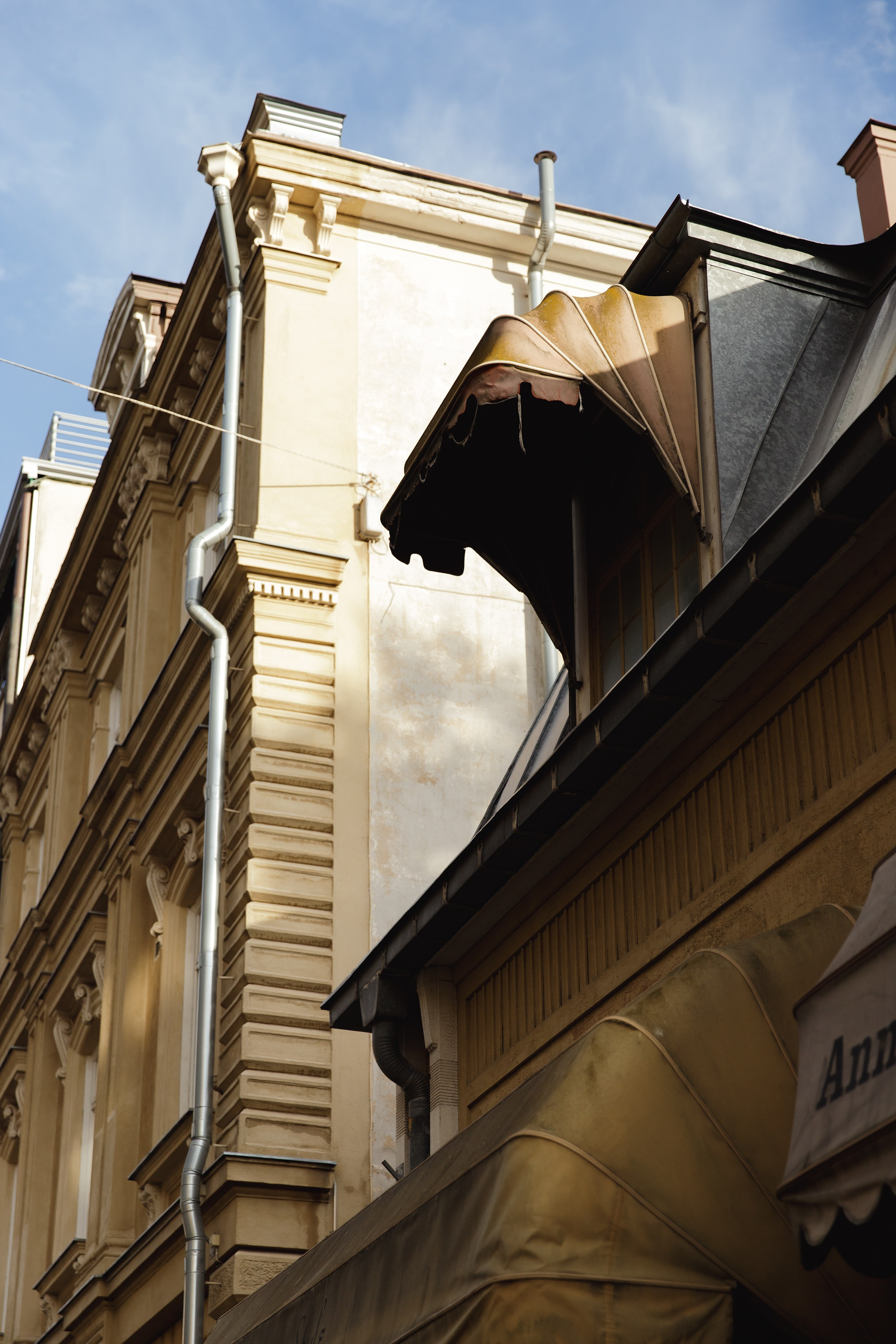 Turku. Kaja | fotograf psów we Wrocławiu