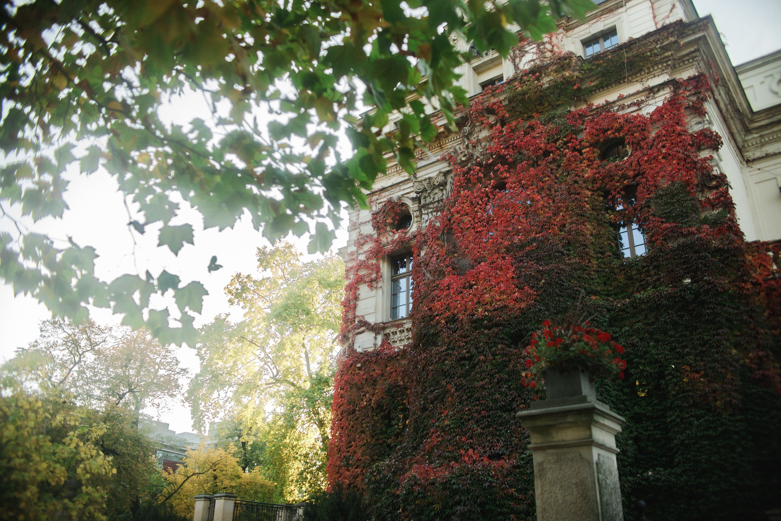 Nastya. Kaja | fotograf psów we Wrocławiu