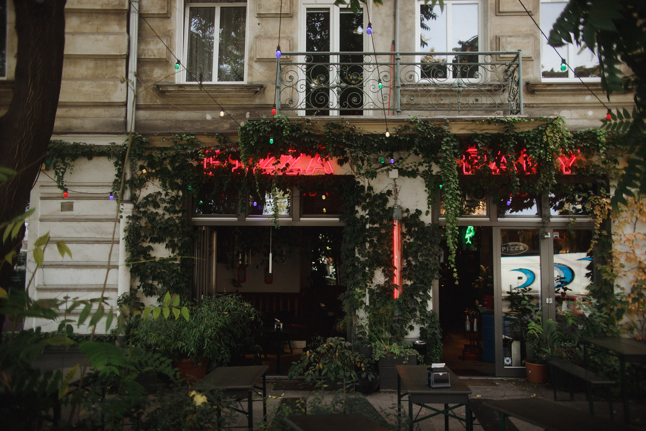 Nastya. Kaja | fotograf psów we Wrocławiu